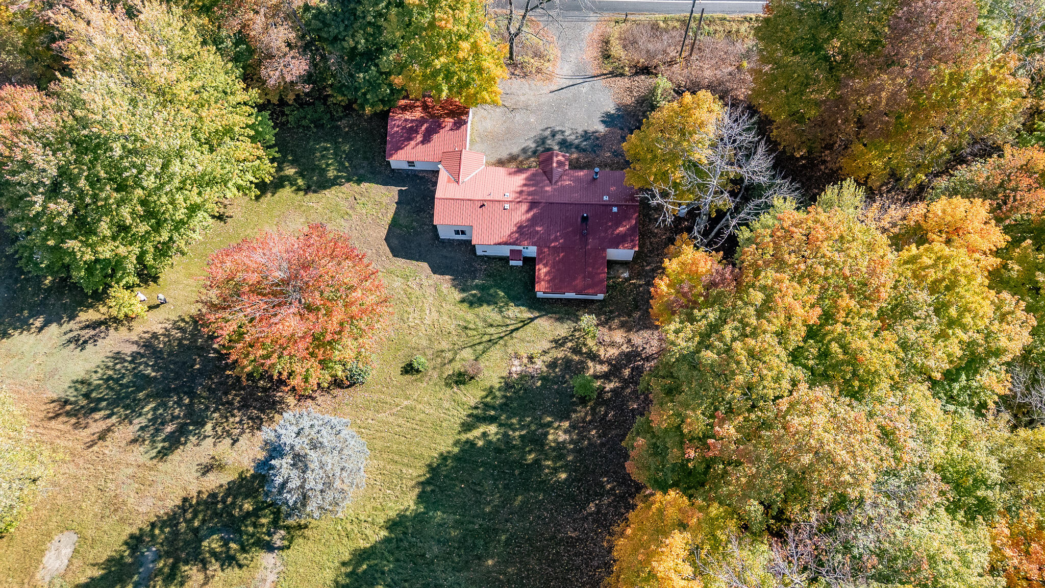 main property photo 42
