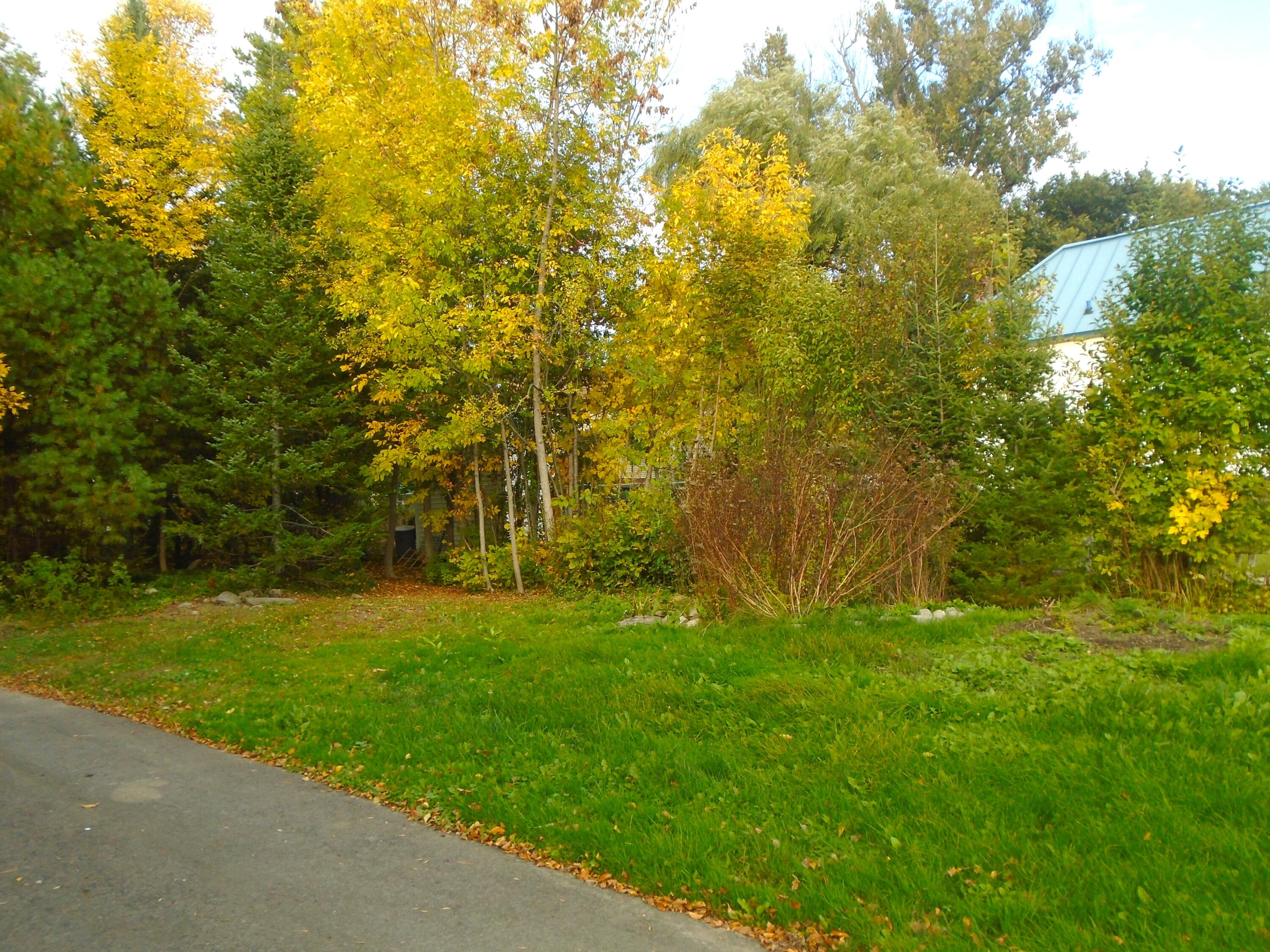 main property photo 30