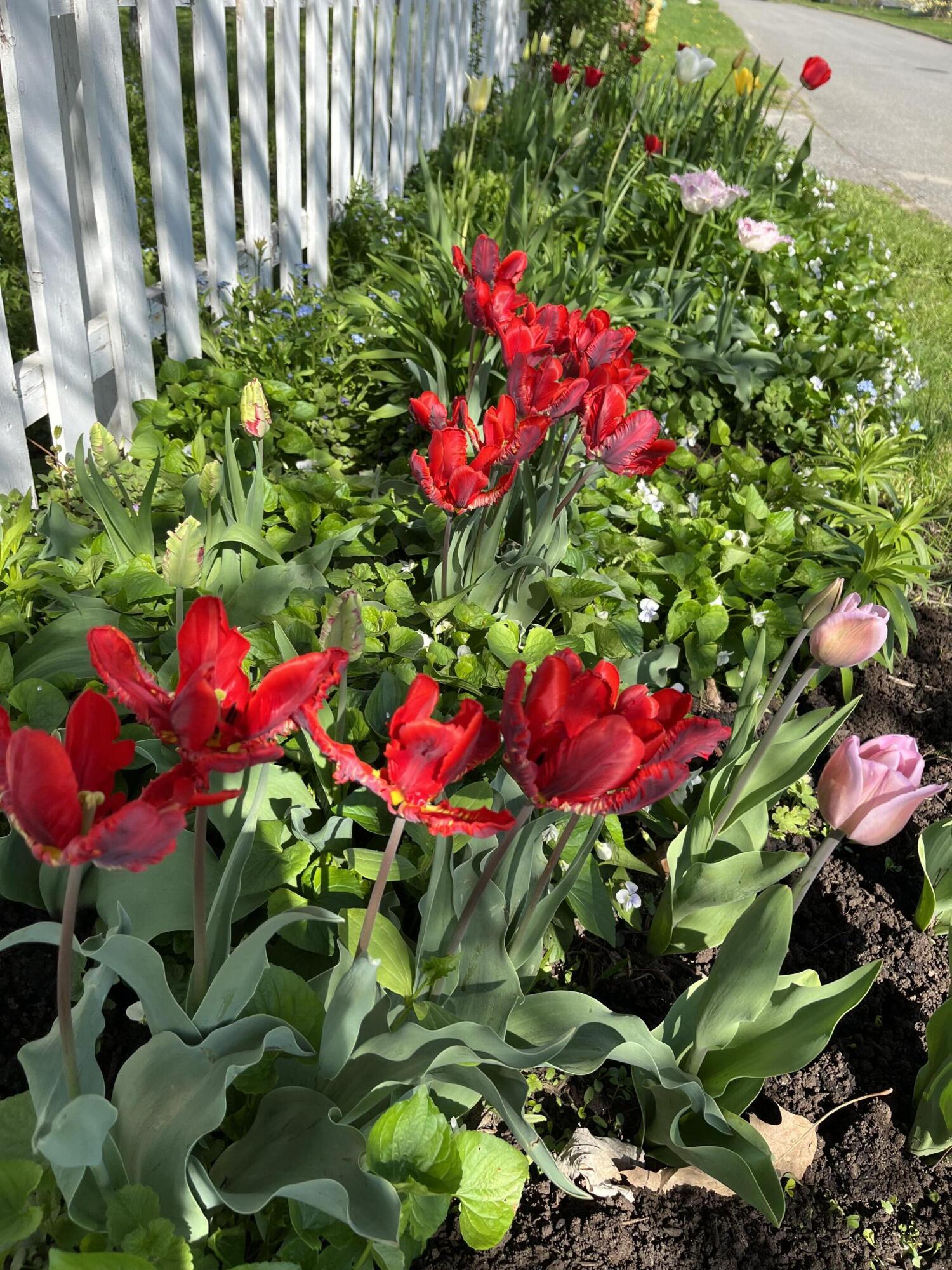 main property photo 34