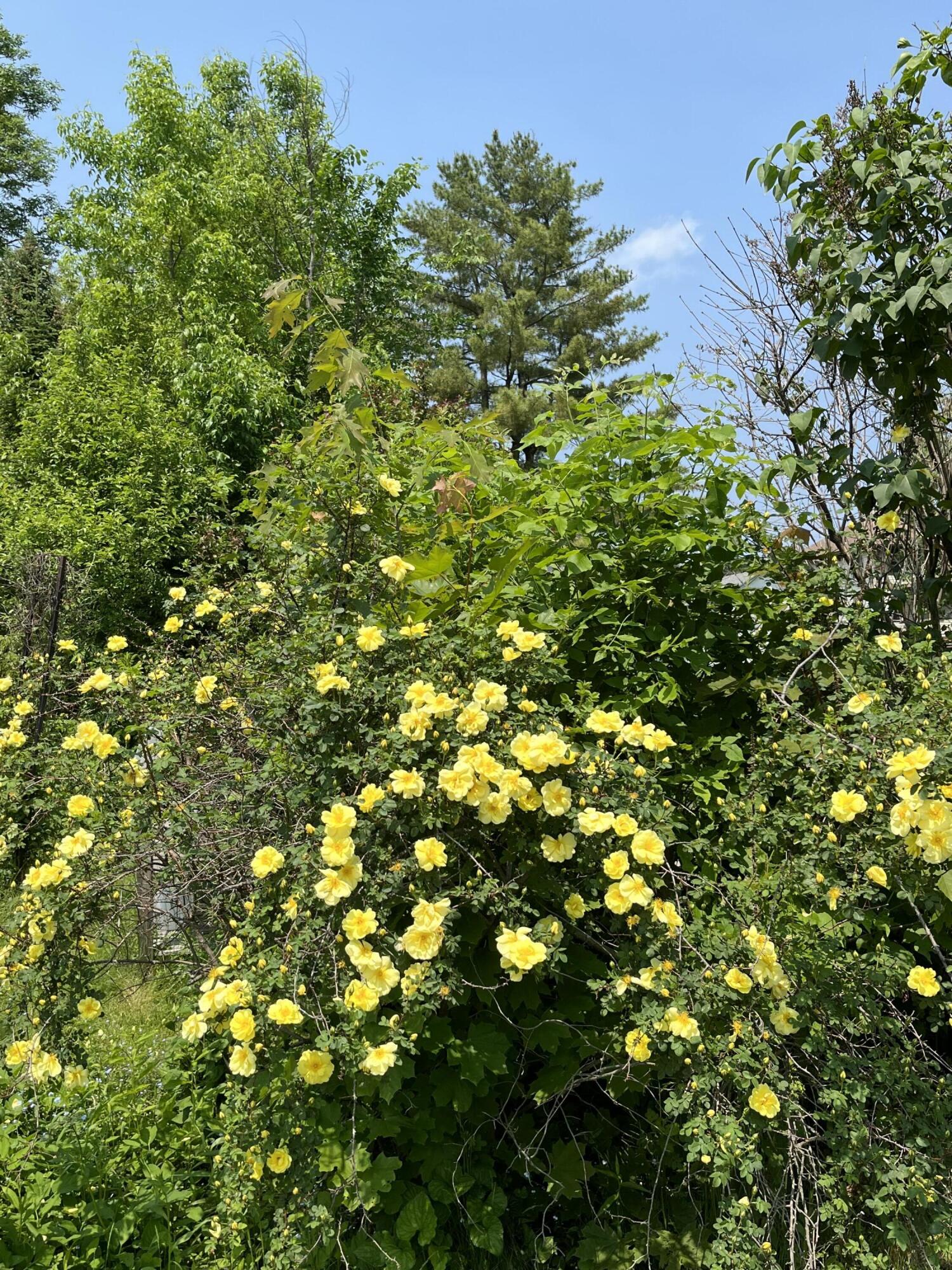 main property photo 36