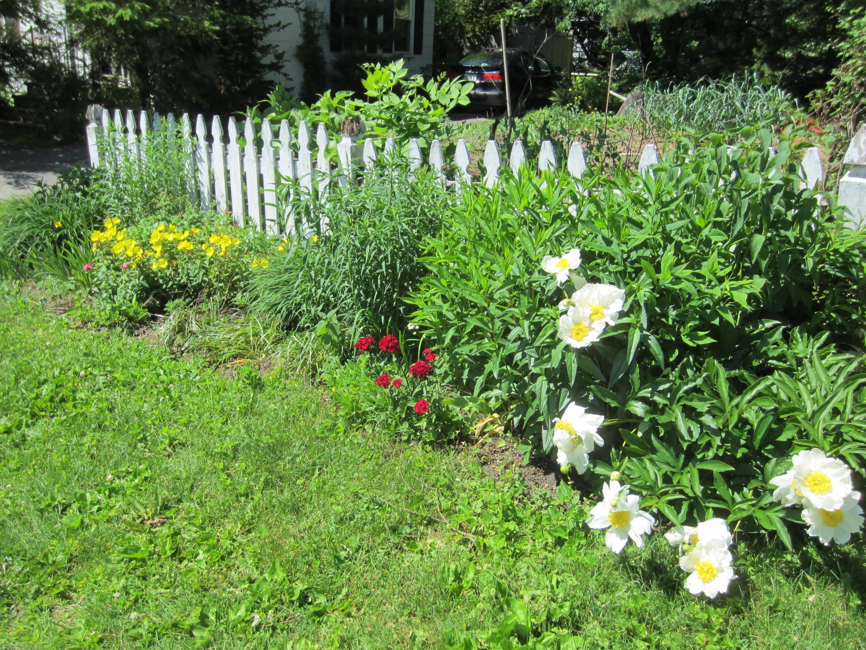 main property photo 40