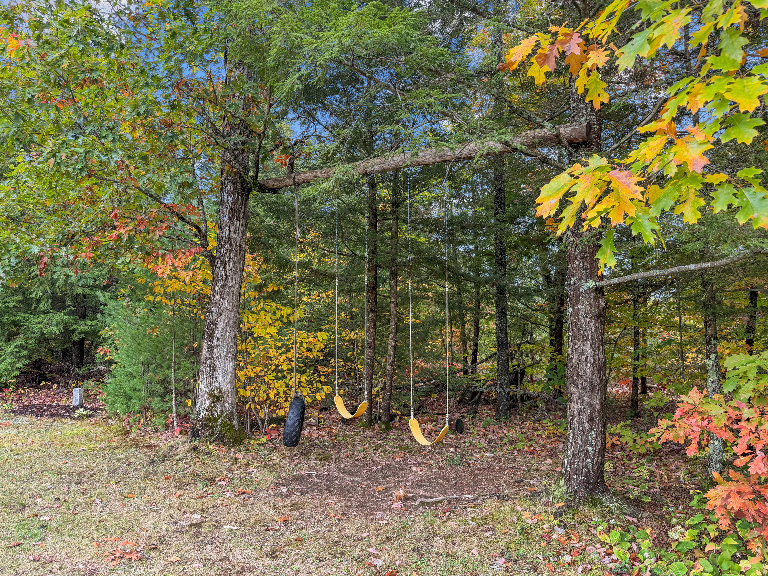 main property photo 42
