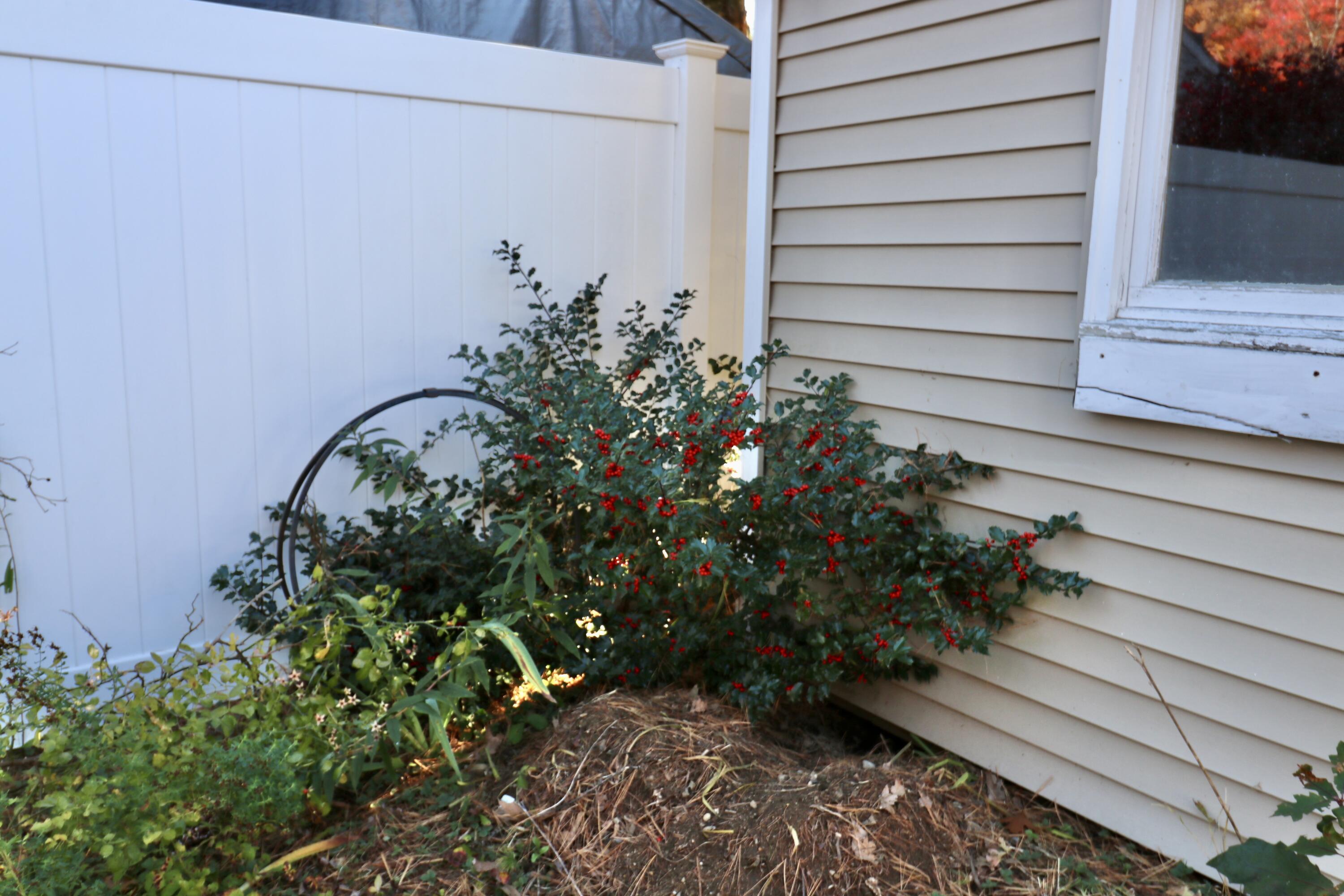 main property photo 59