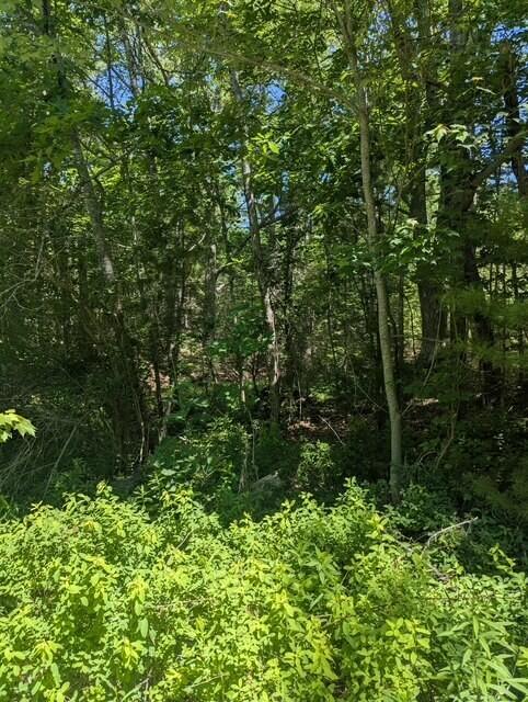 main property photo 8
