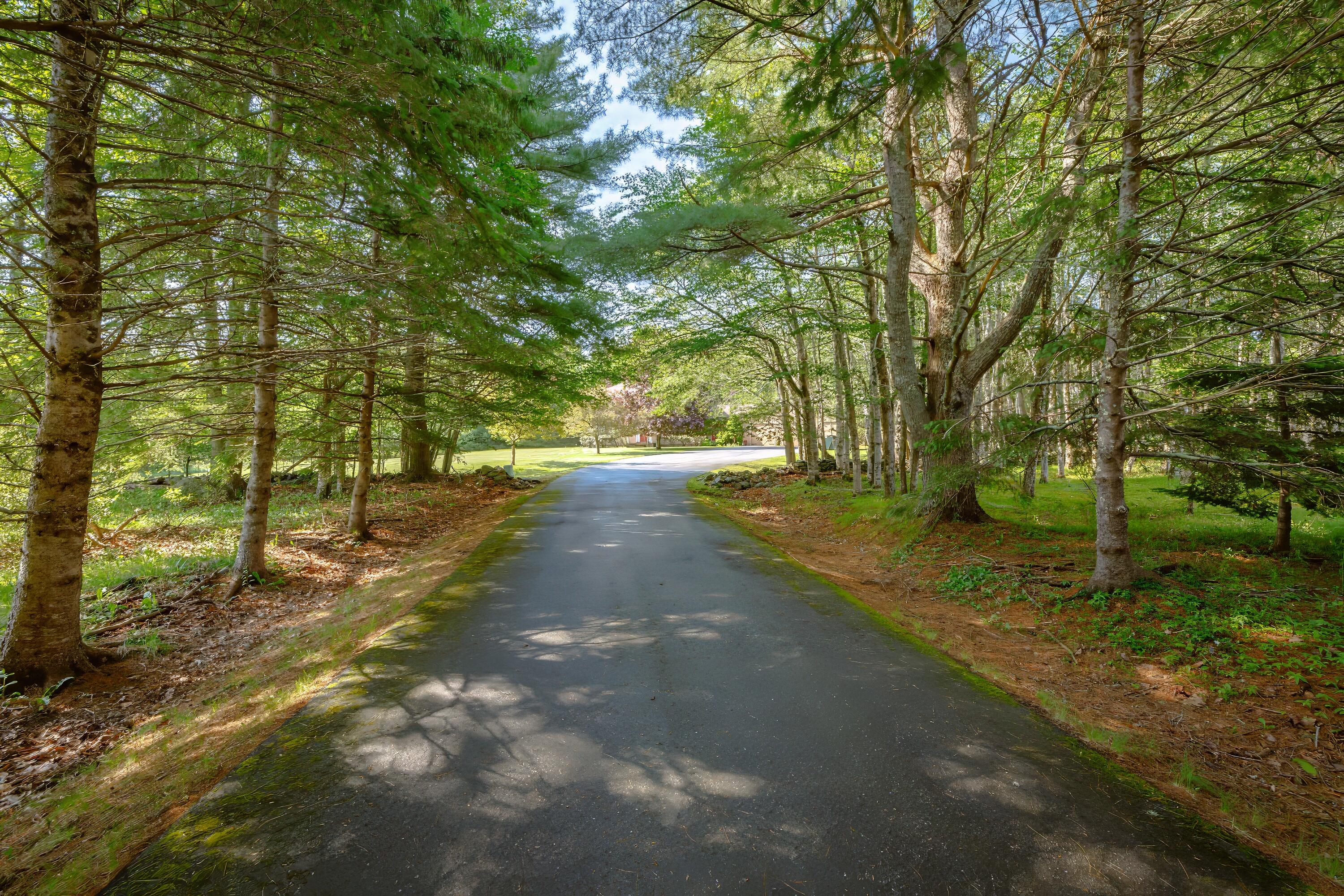main property photo 14