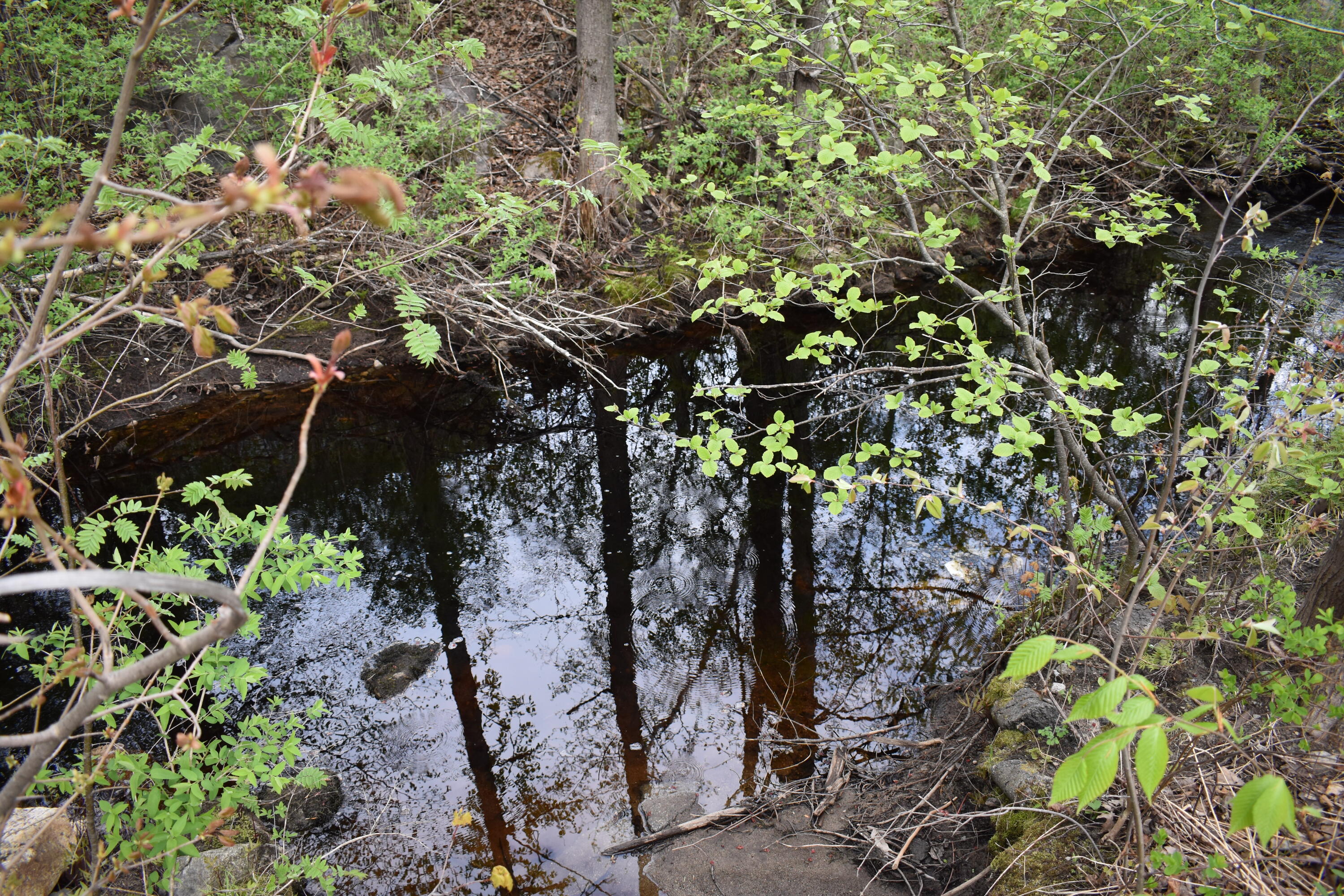 main property photo 50