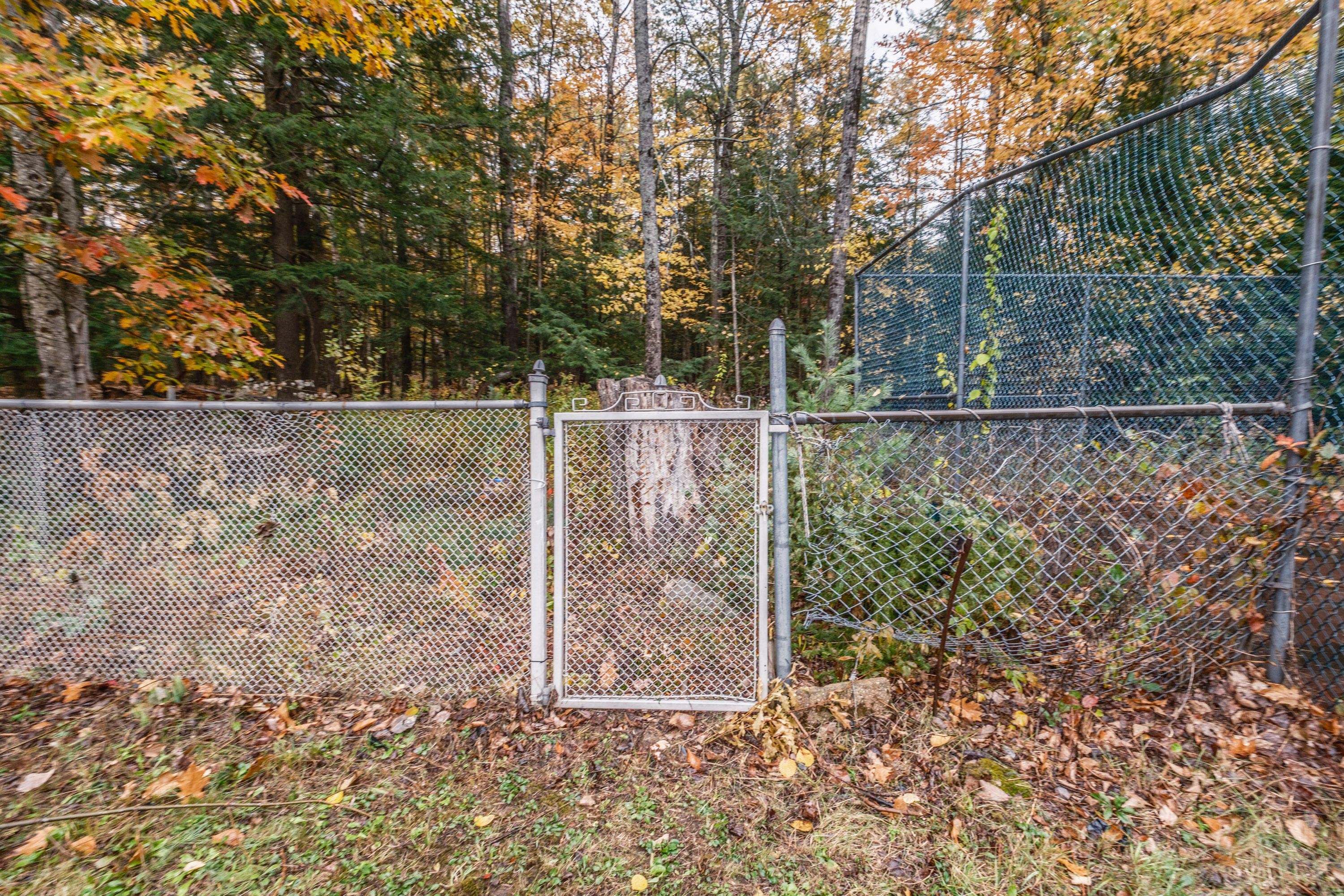 main property photo 87