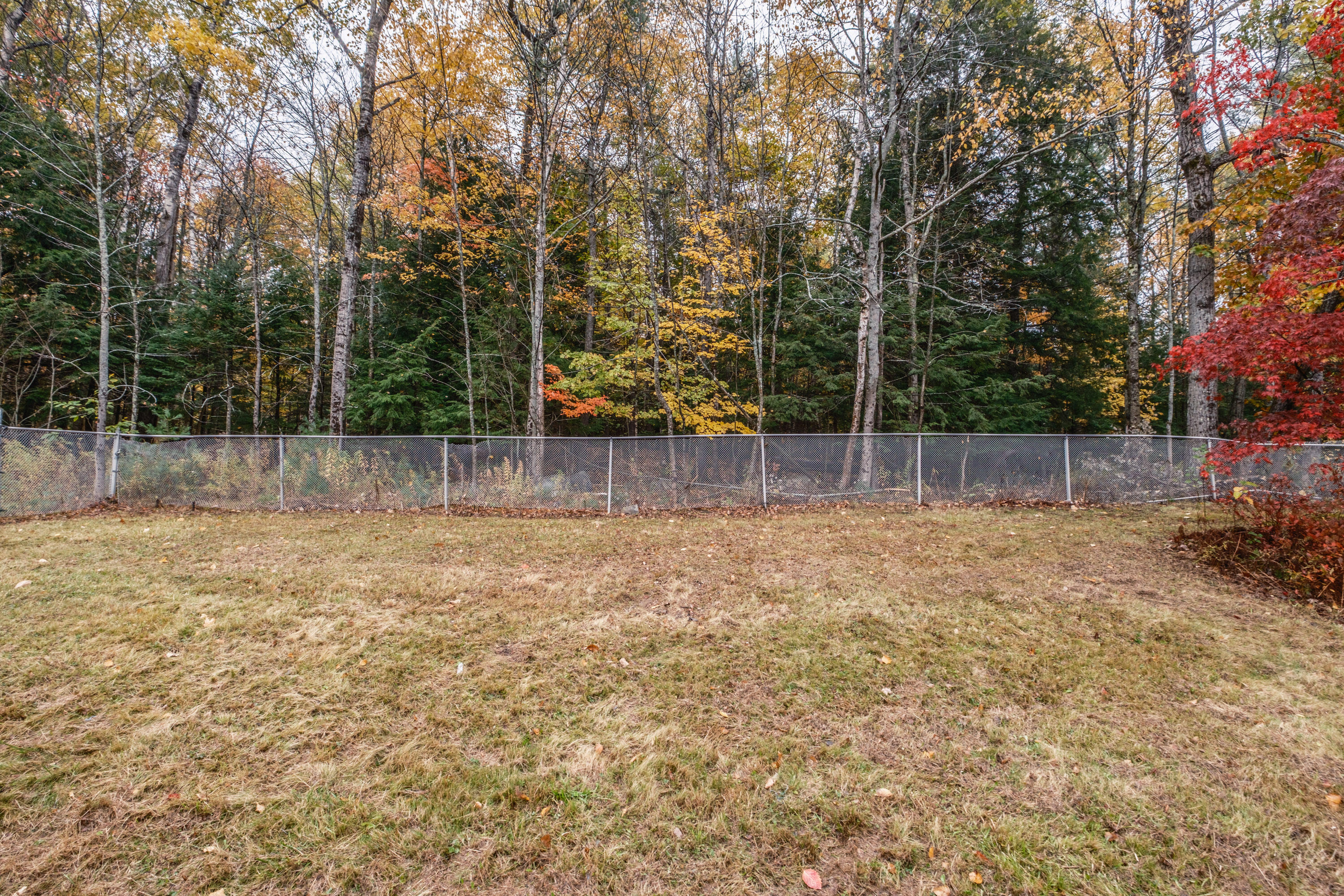 main property photo 92
