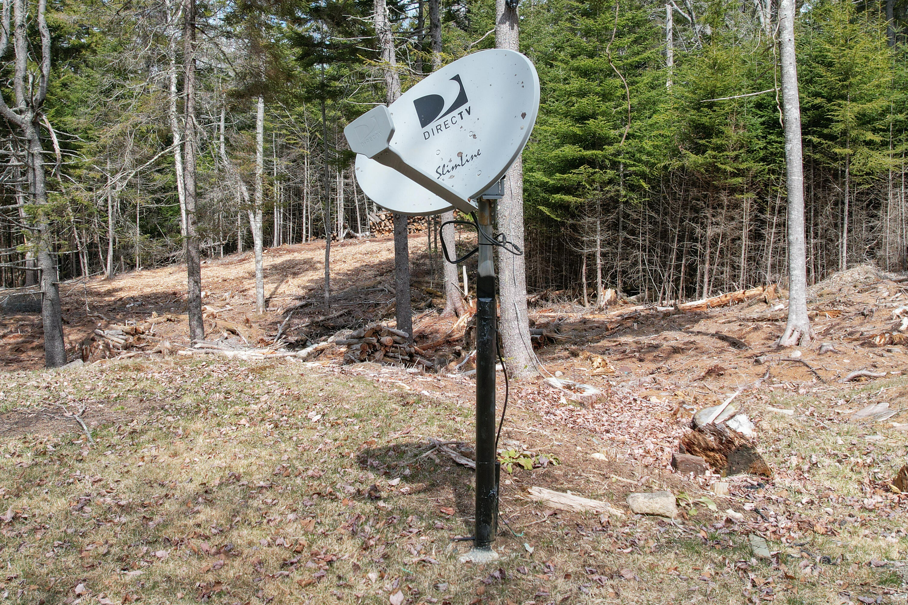 main property photo 65