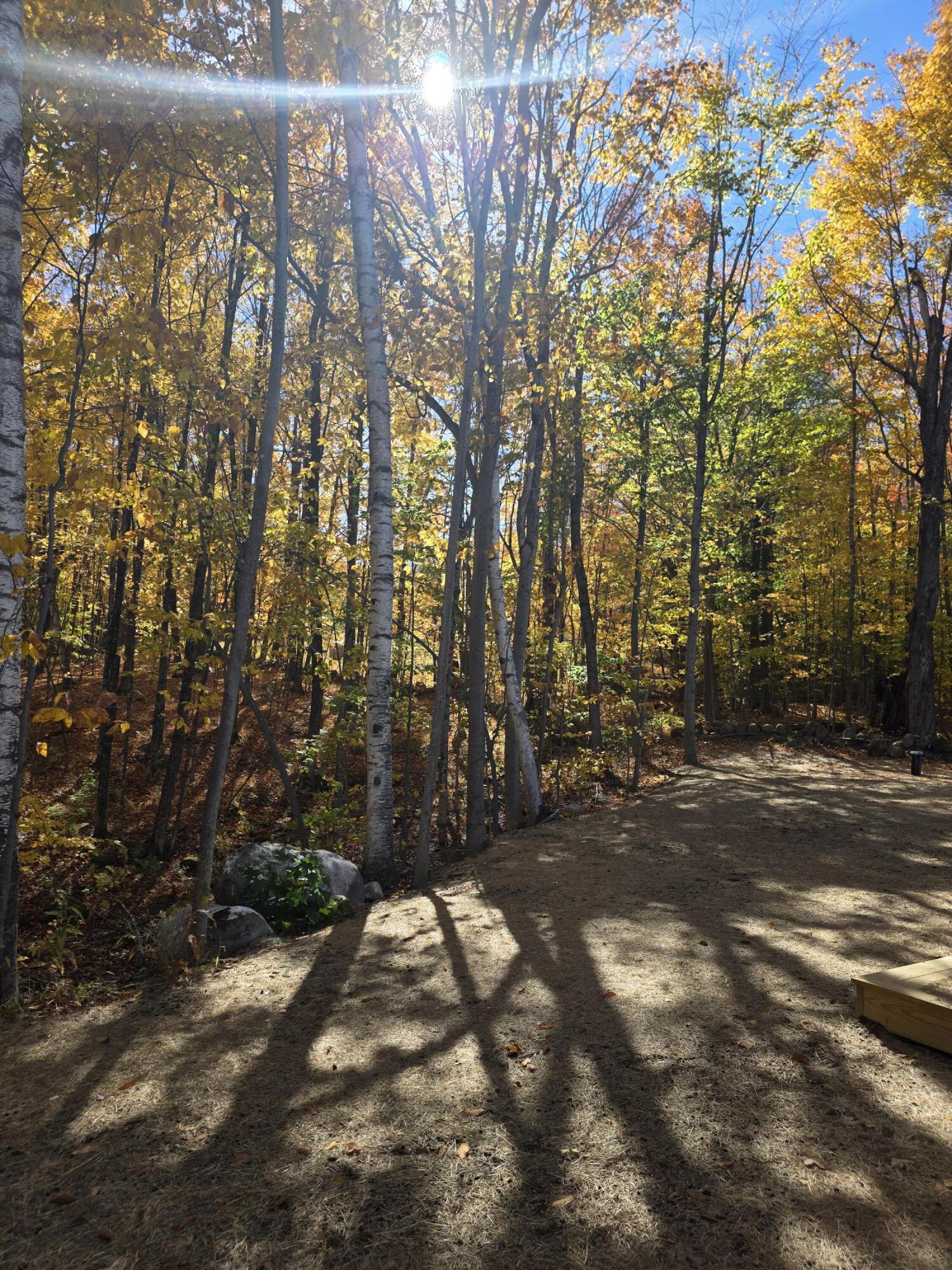main property photo 54