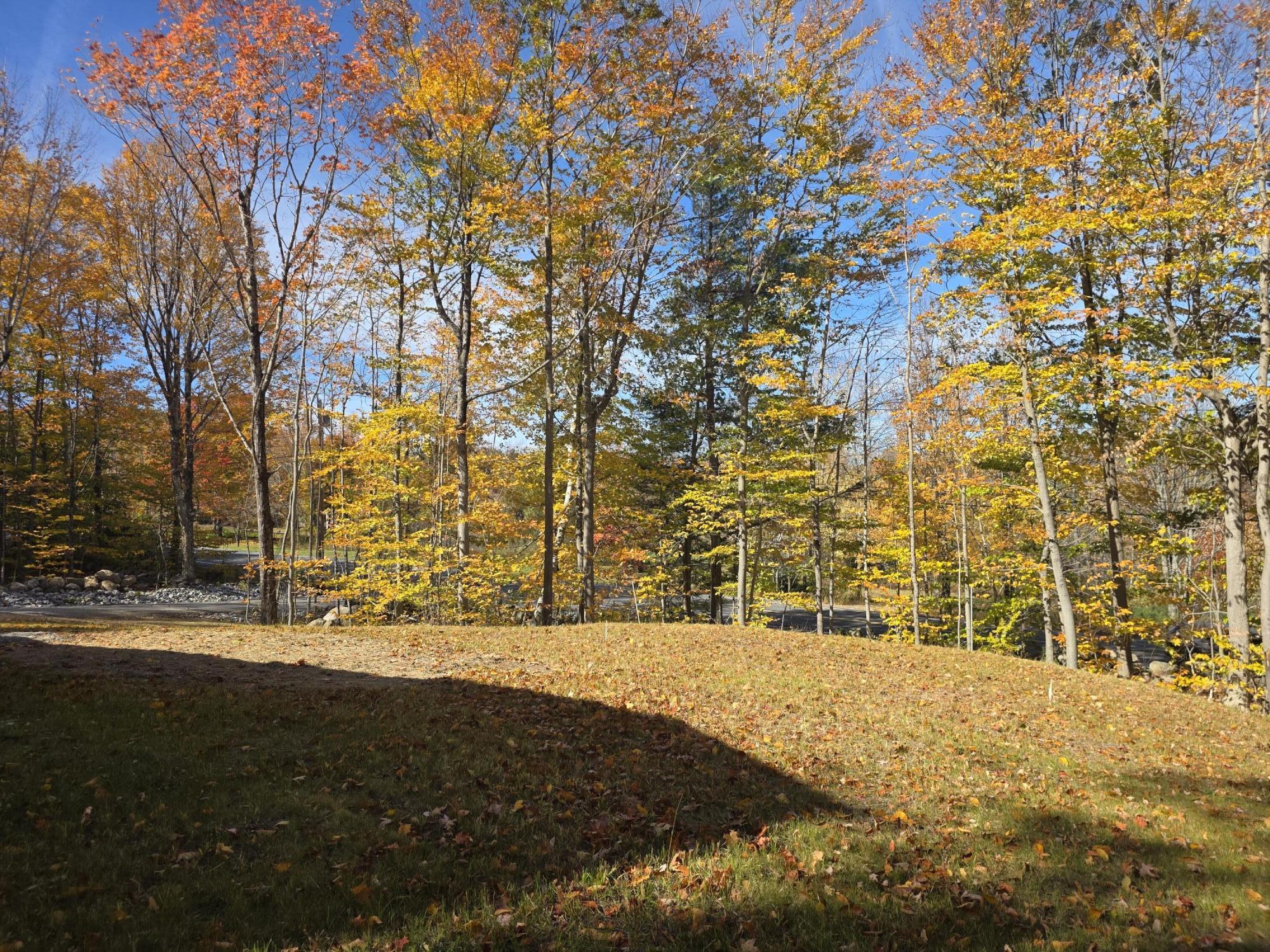 main property photo 60