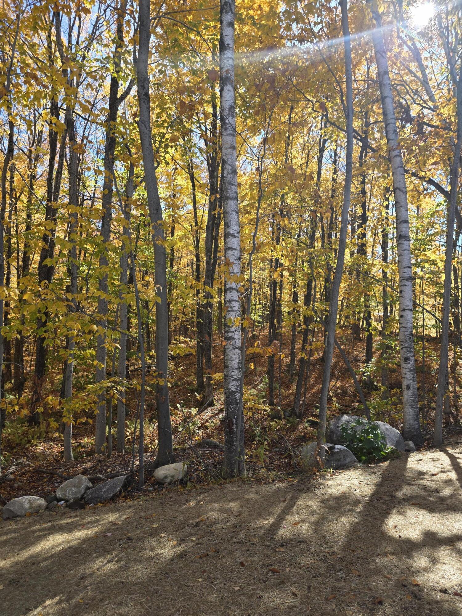 main property photo 62