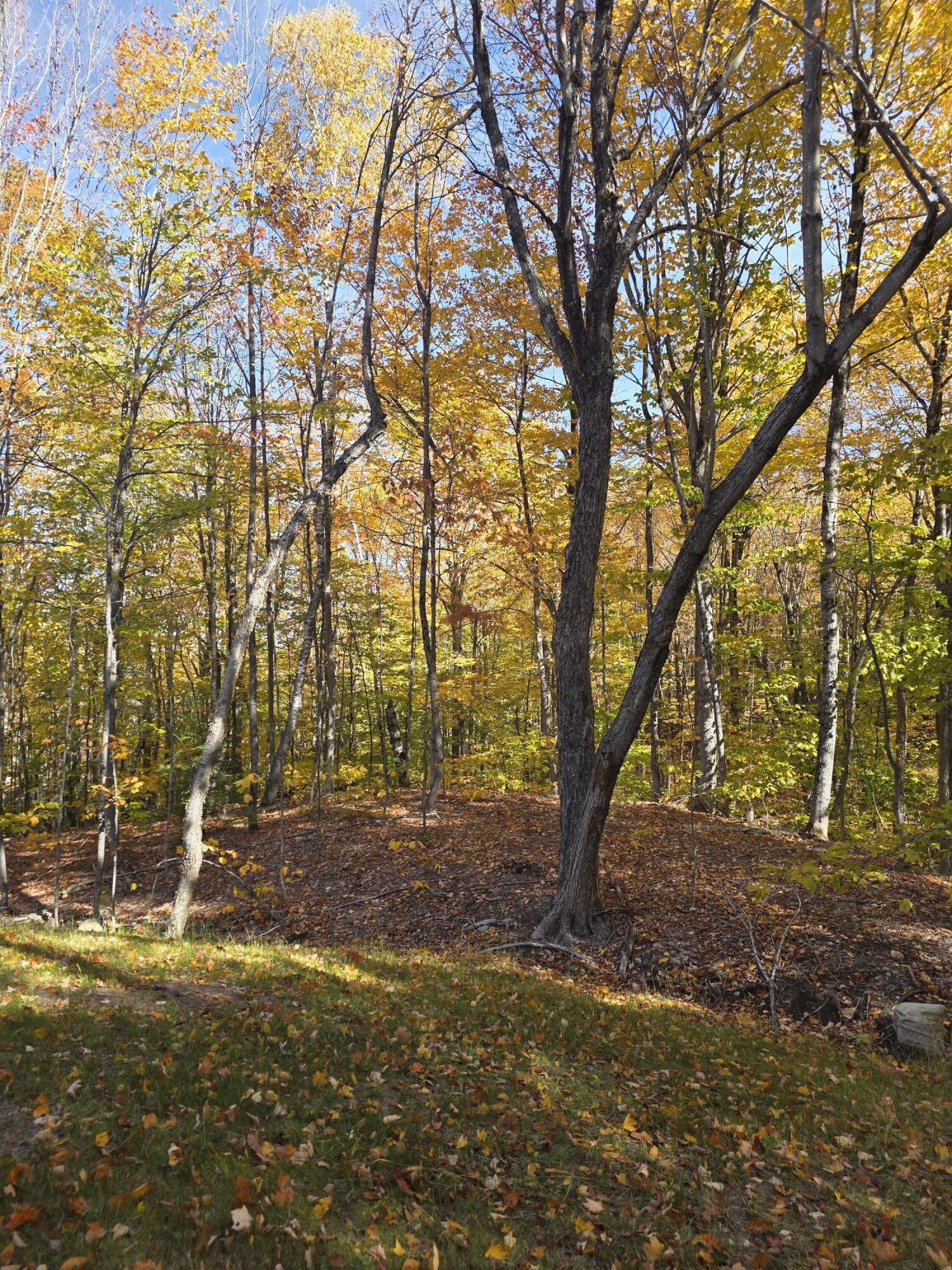 main property photo 65