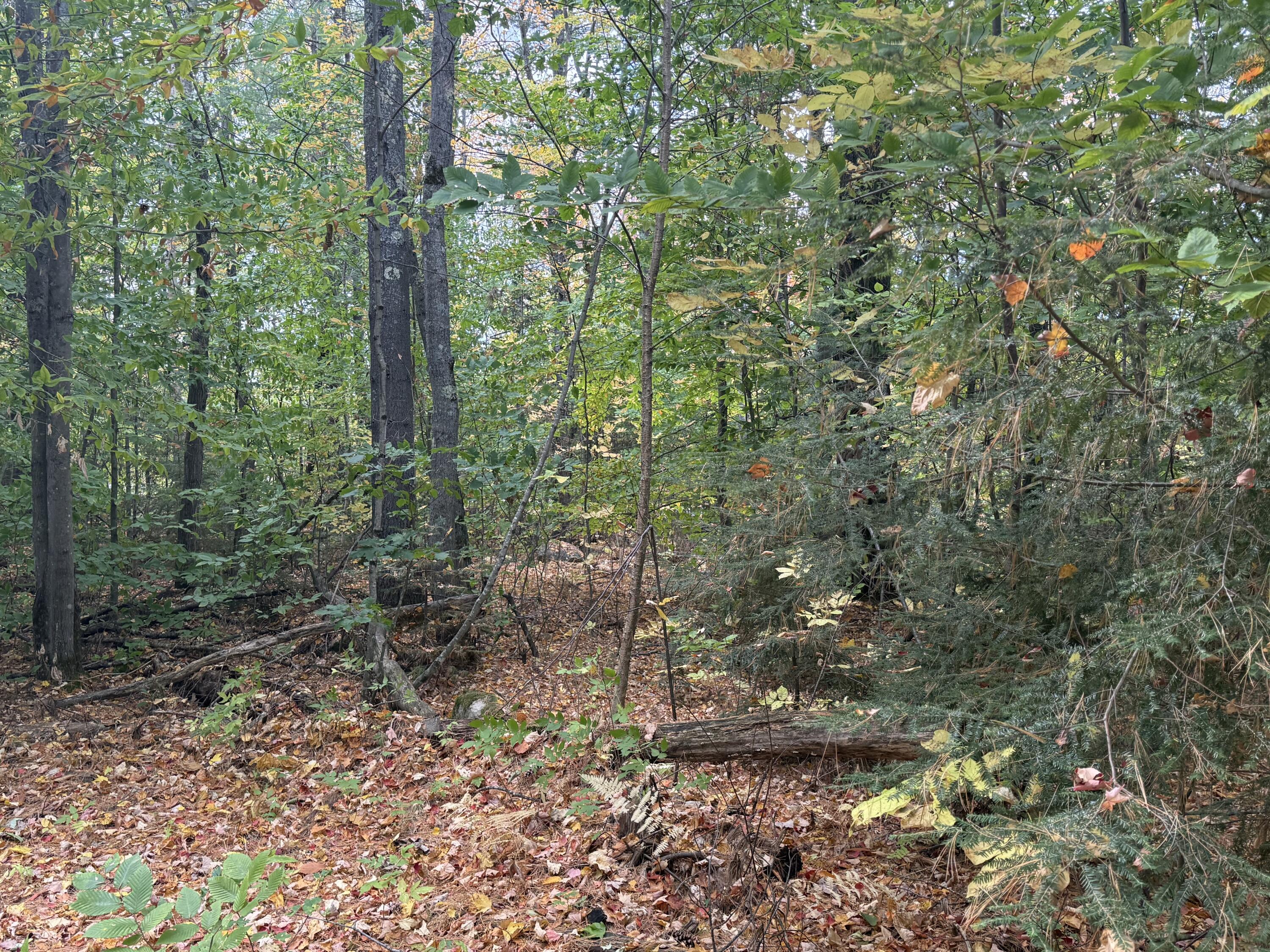 main property photo 23