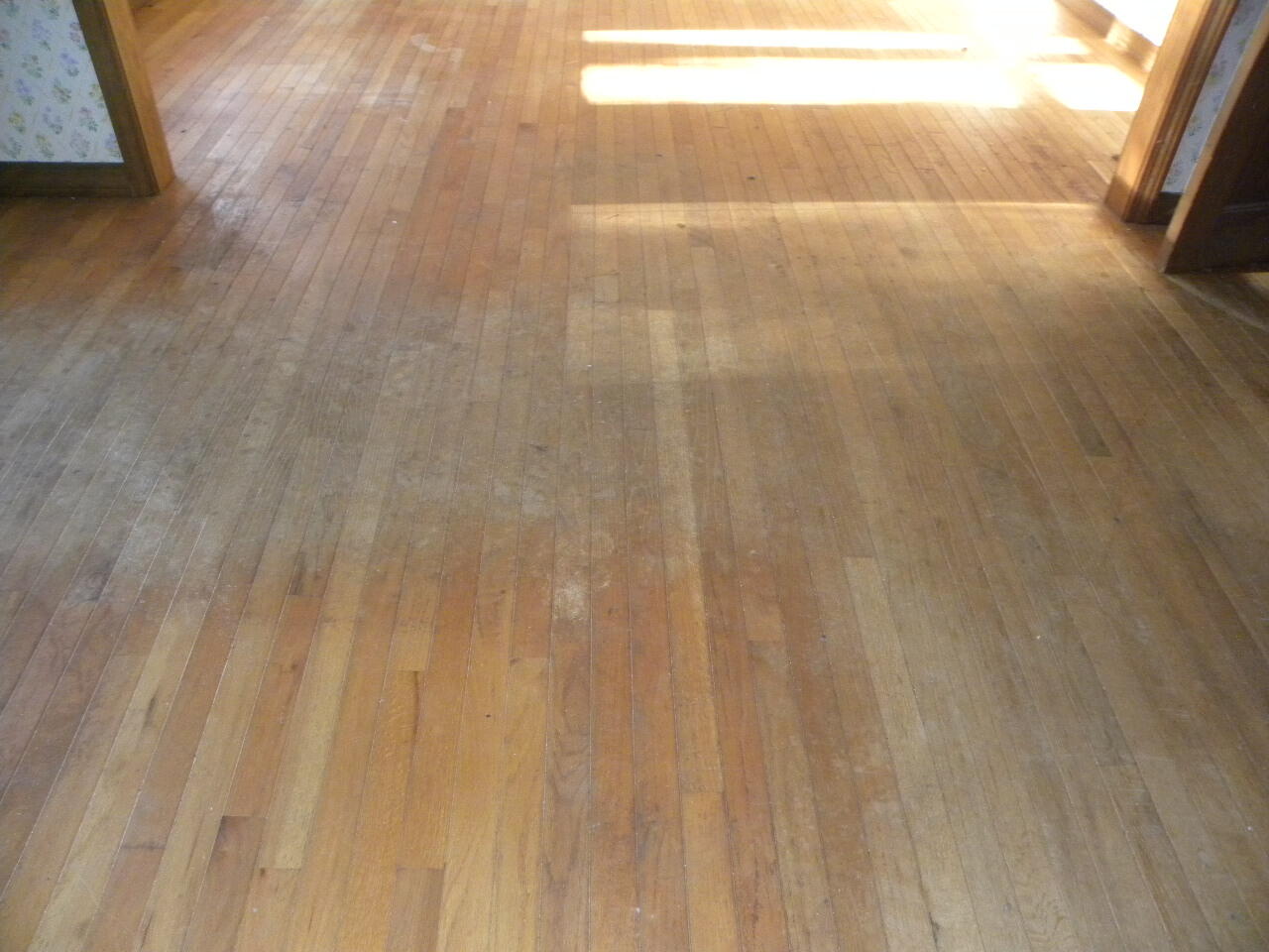 main property photo 37