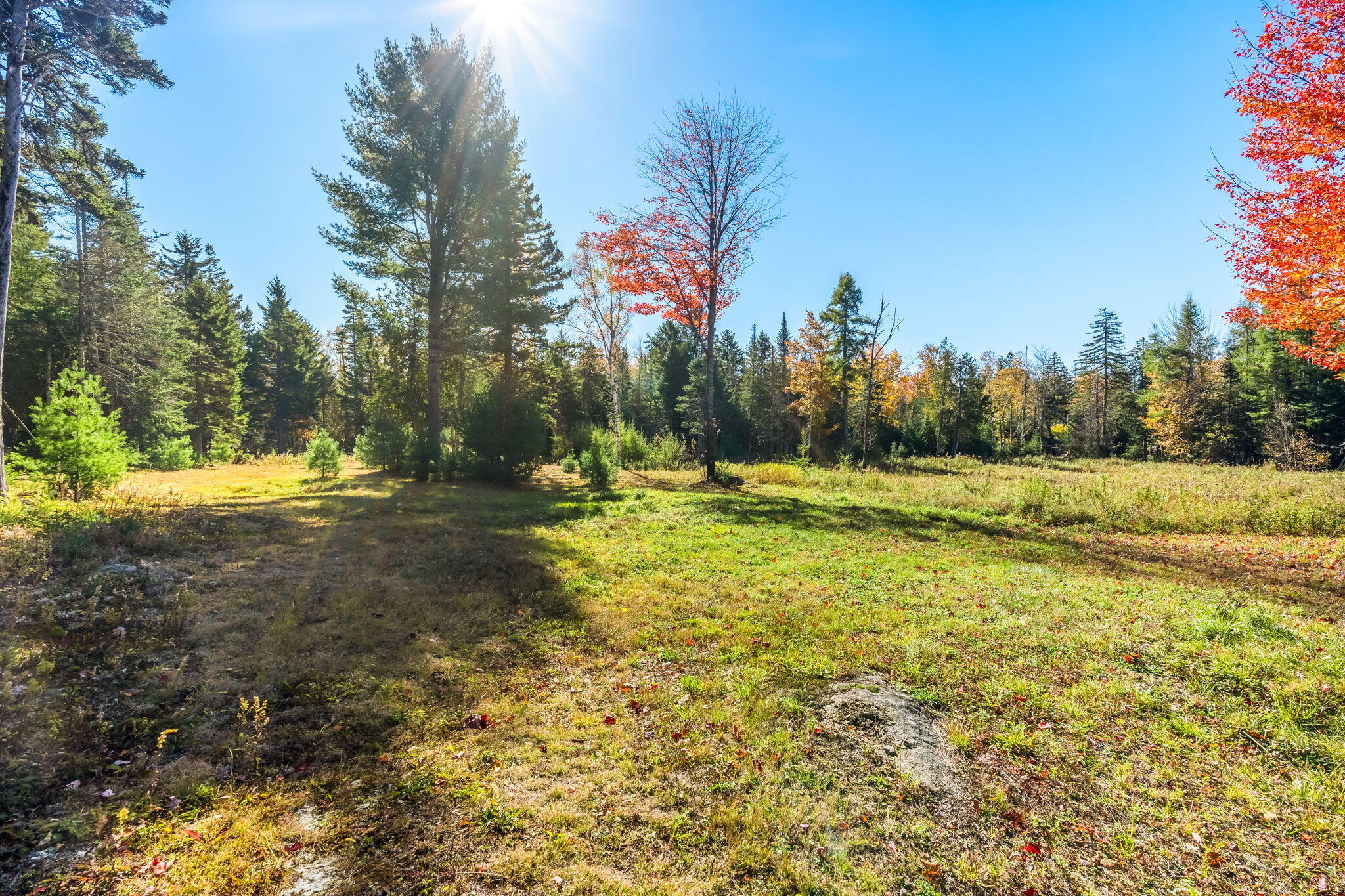 main property photo 88