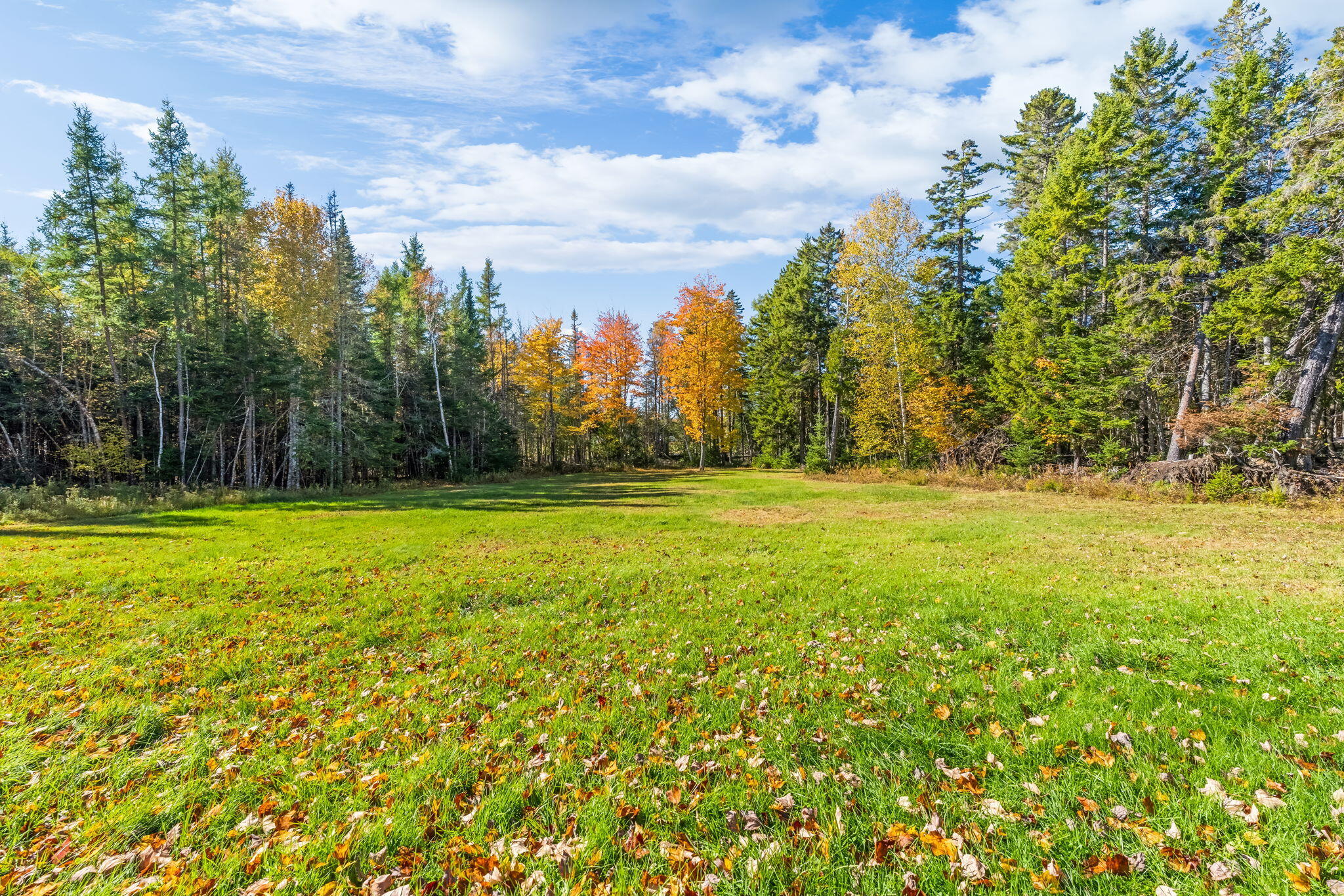main property photo 93
