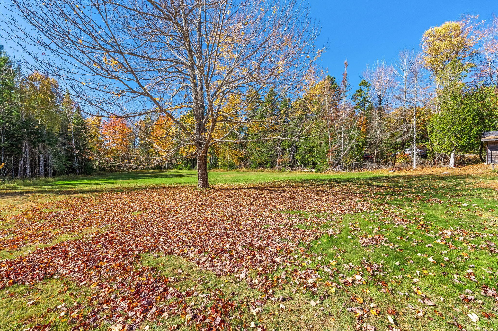 main property photo 94