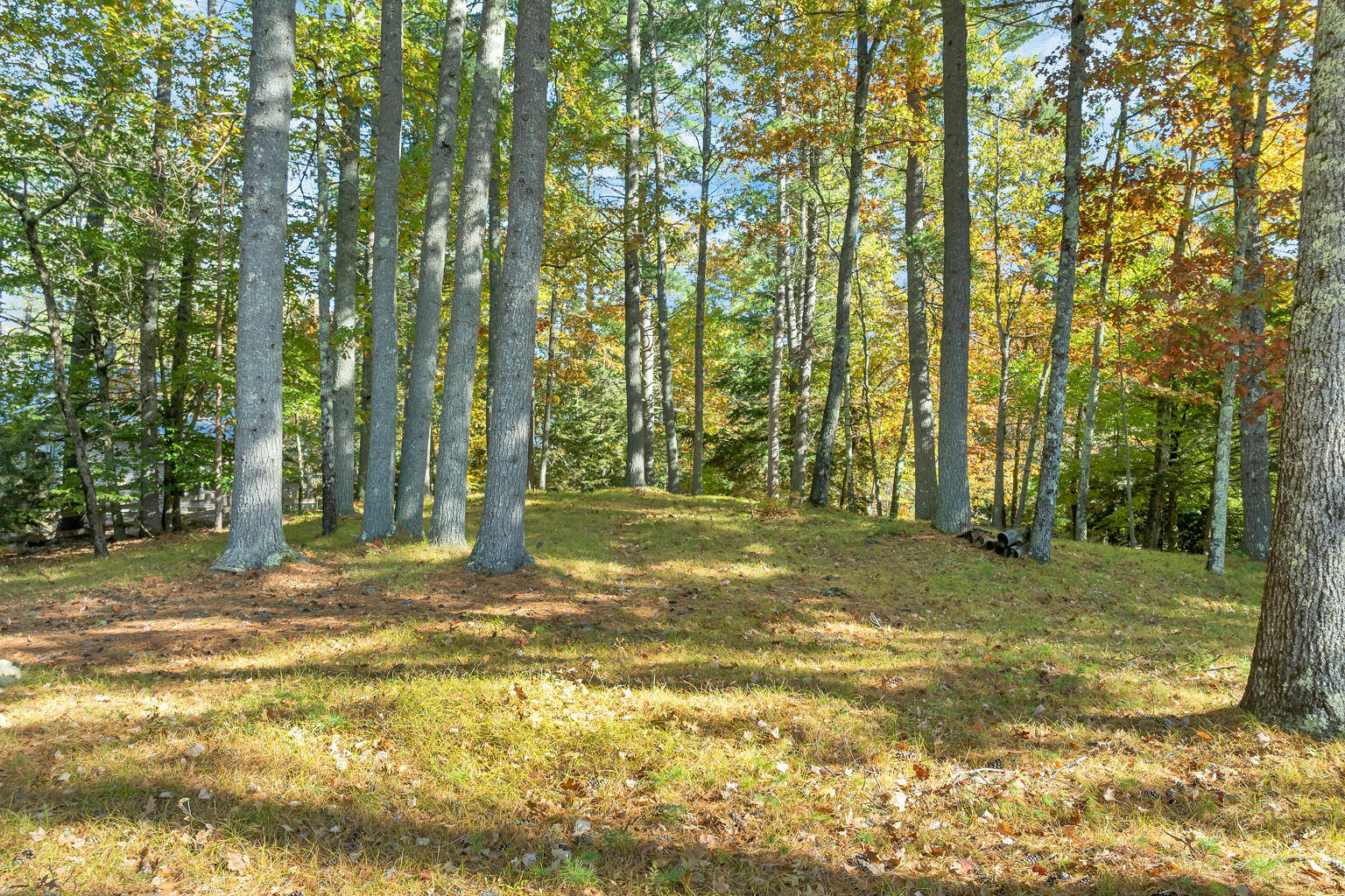 main property photo 21