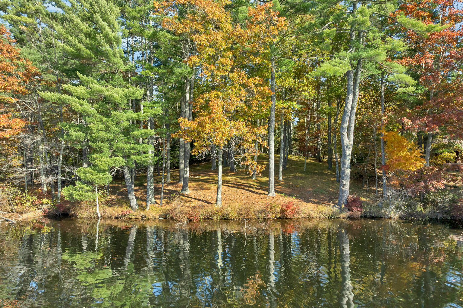 main property photo 27