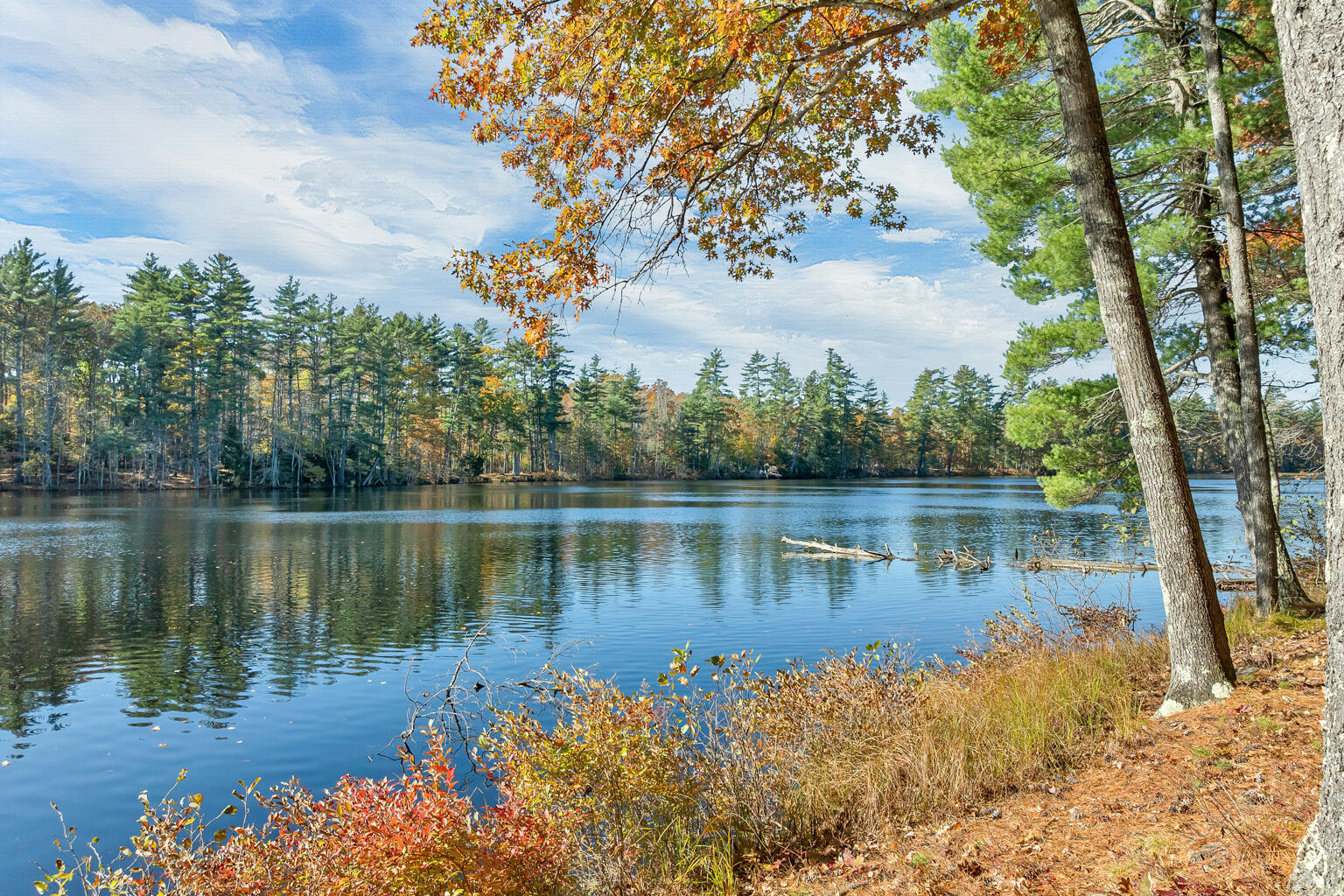 main property photo 28