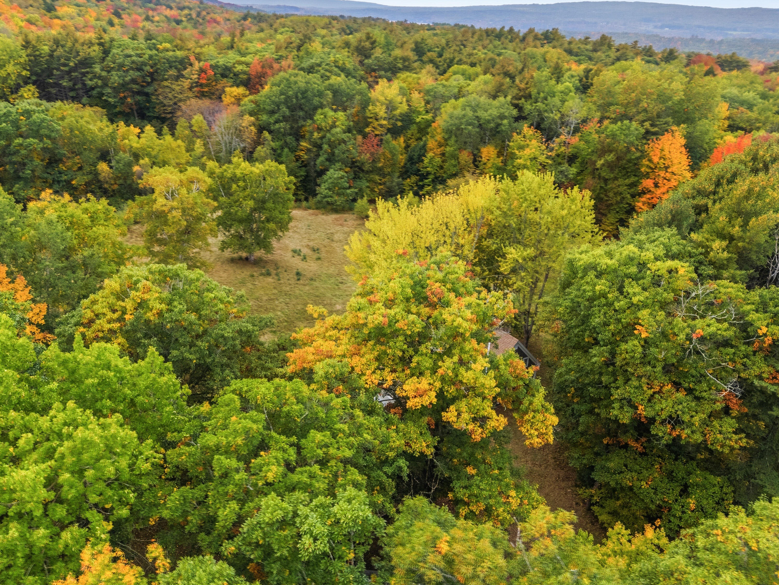 main property photo 80