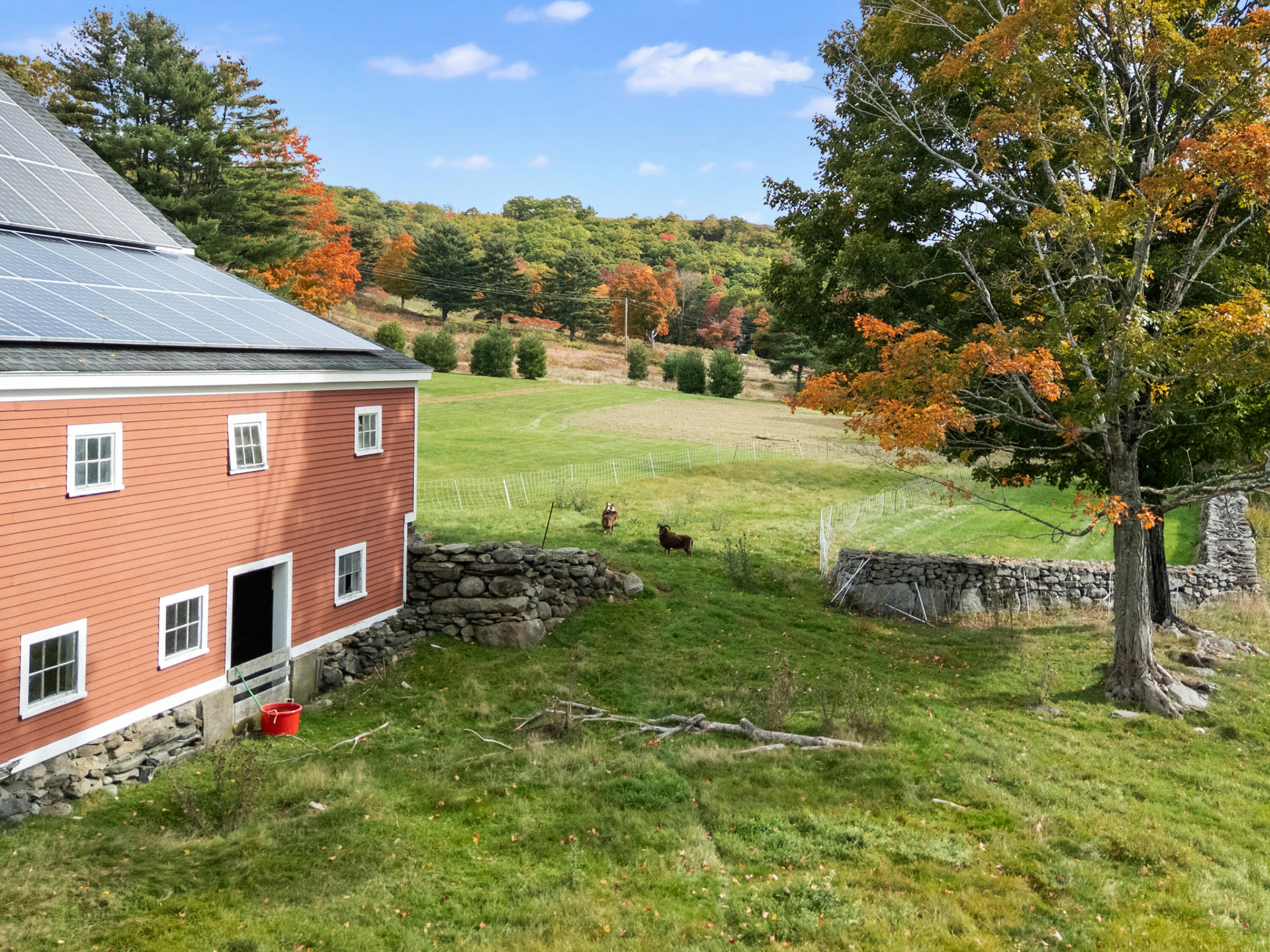 main property photo 28