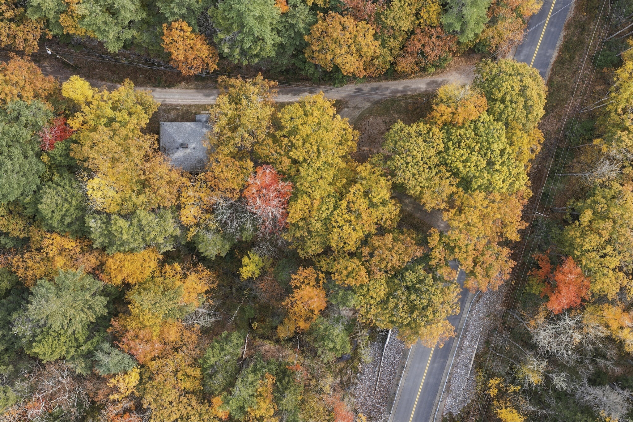 main property photo 48