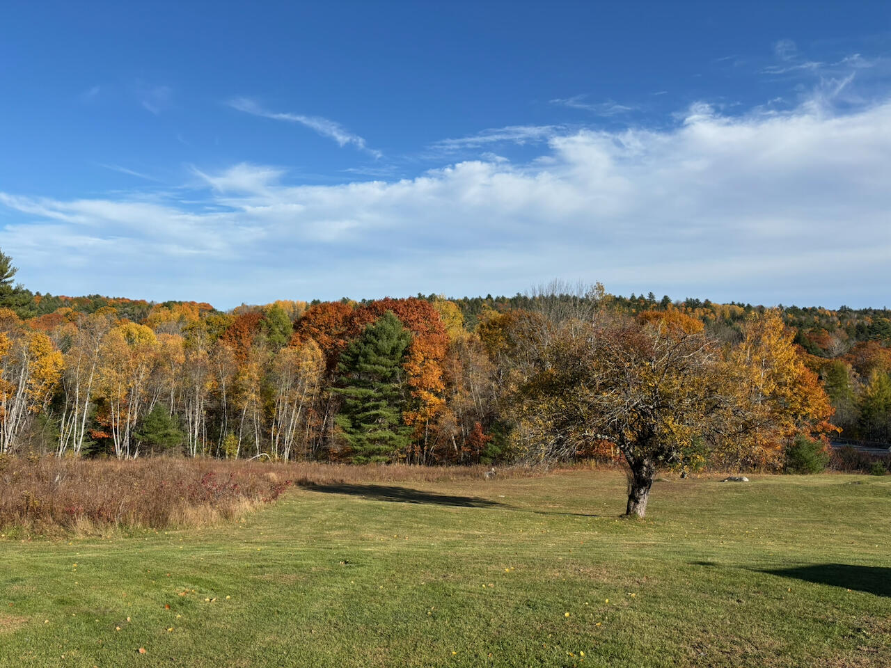 main property photo 36