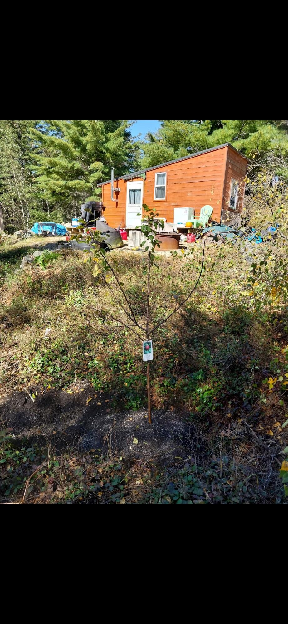main property photo 17