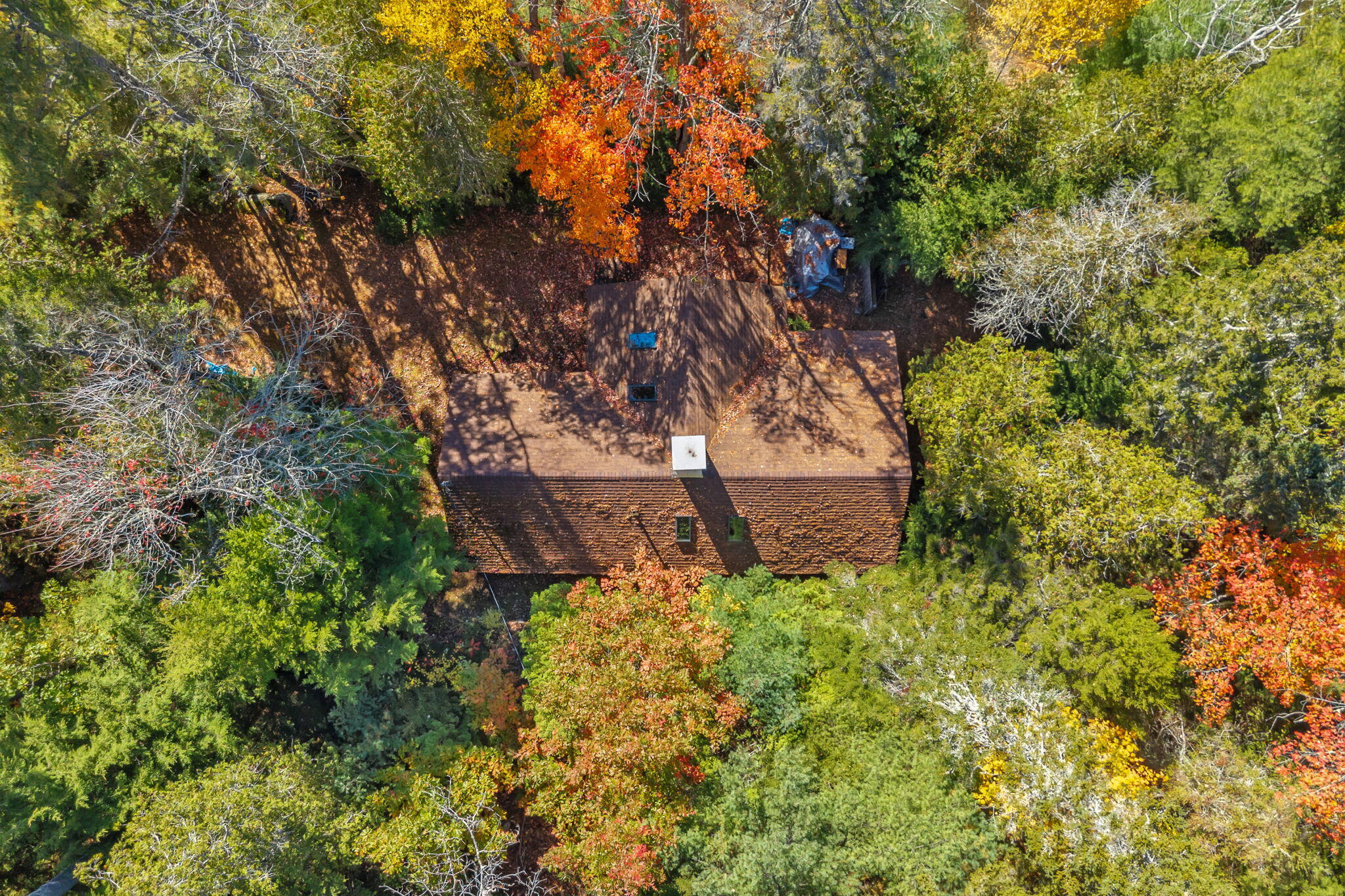 main property photo 48