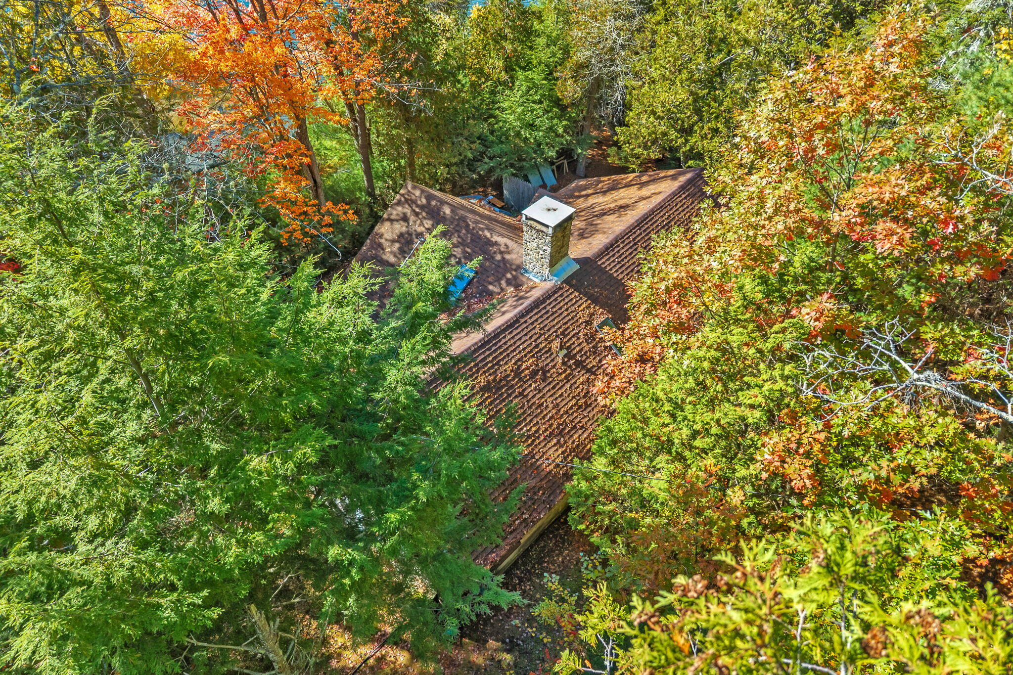 main property photo 61