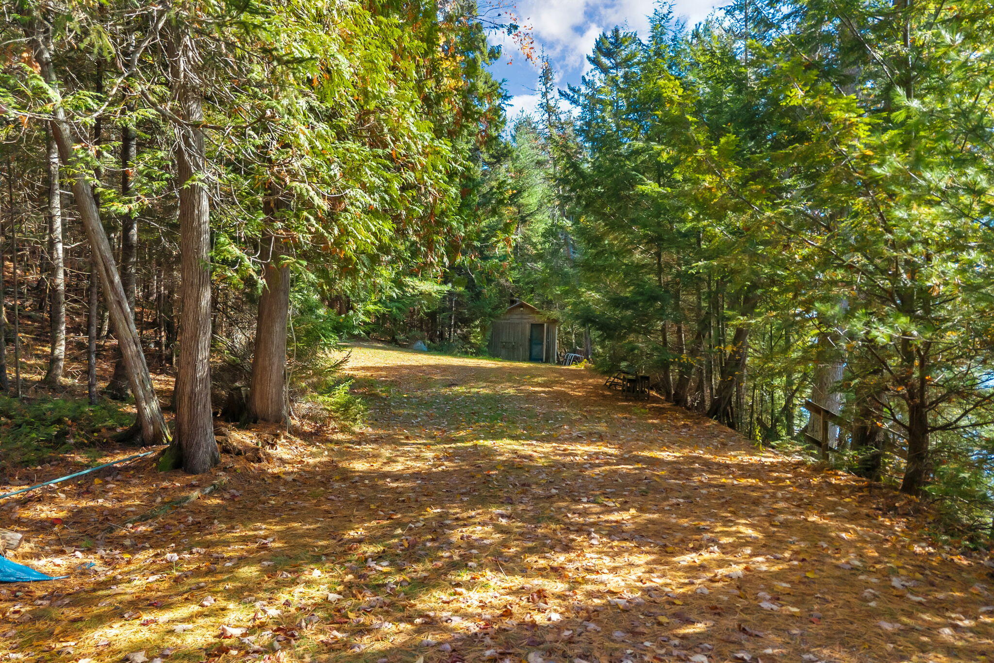 main property photo 62