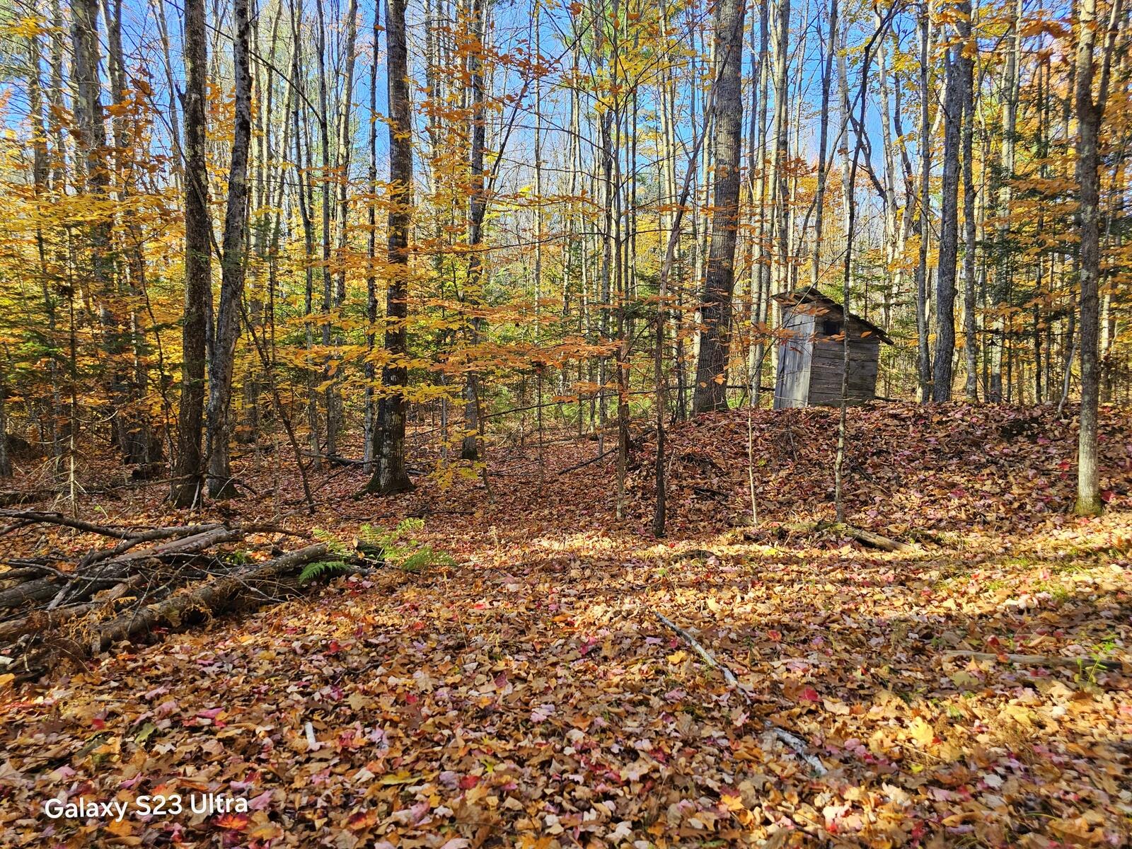 main property photo 26