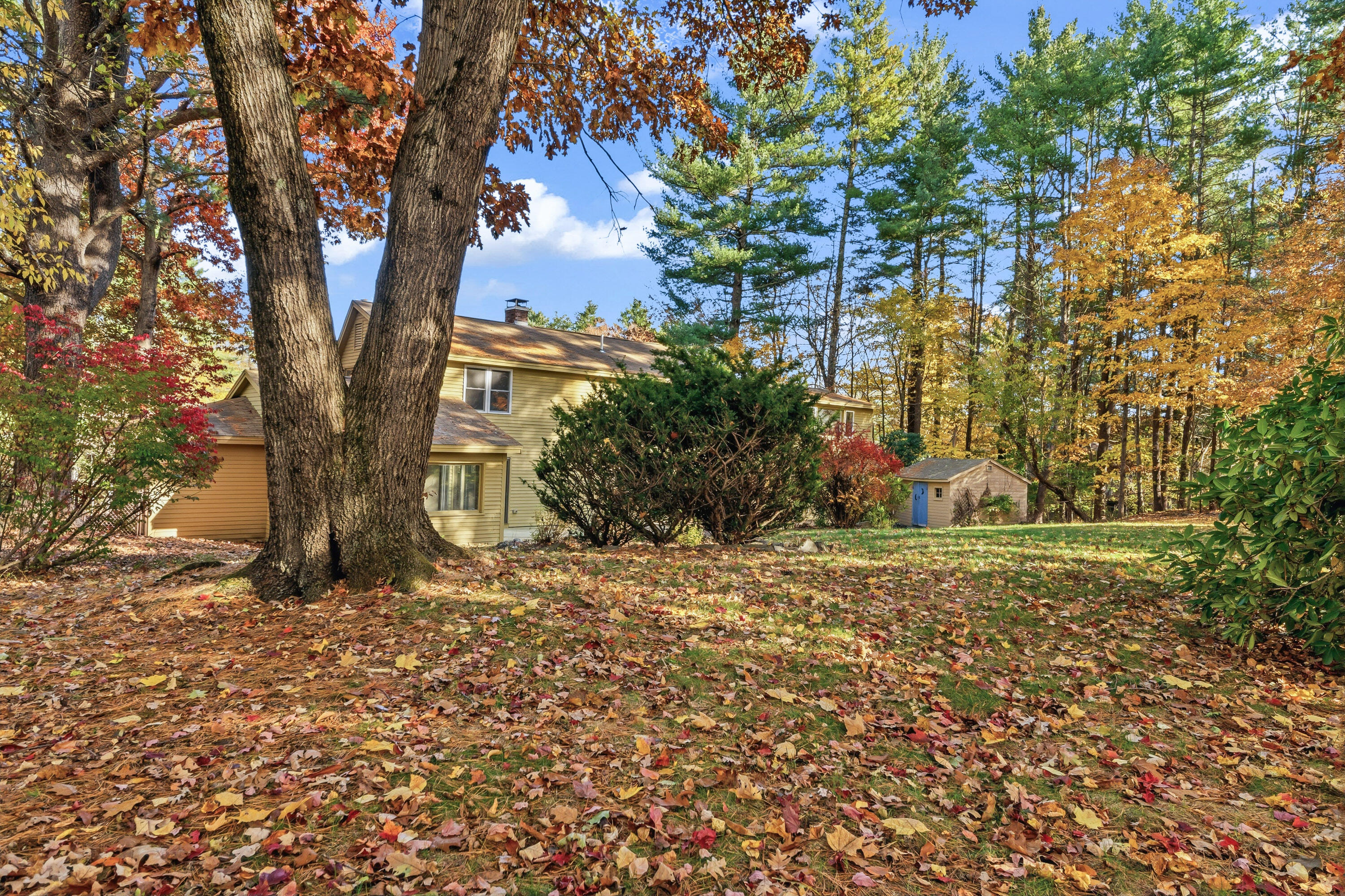 main property photo 49