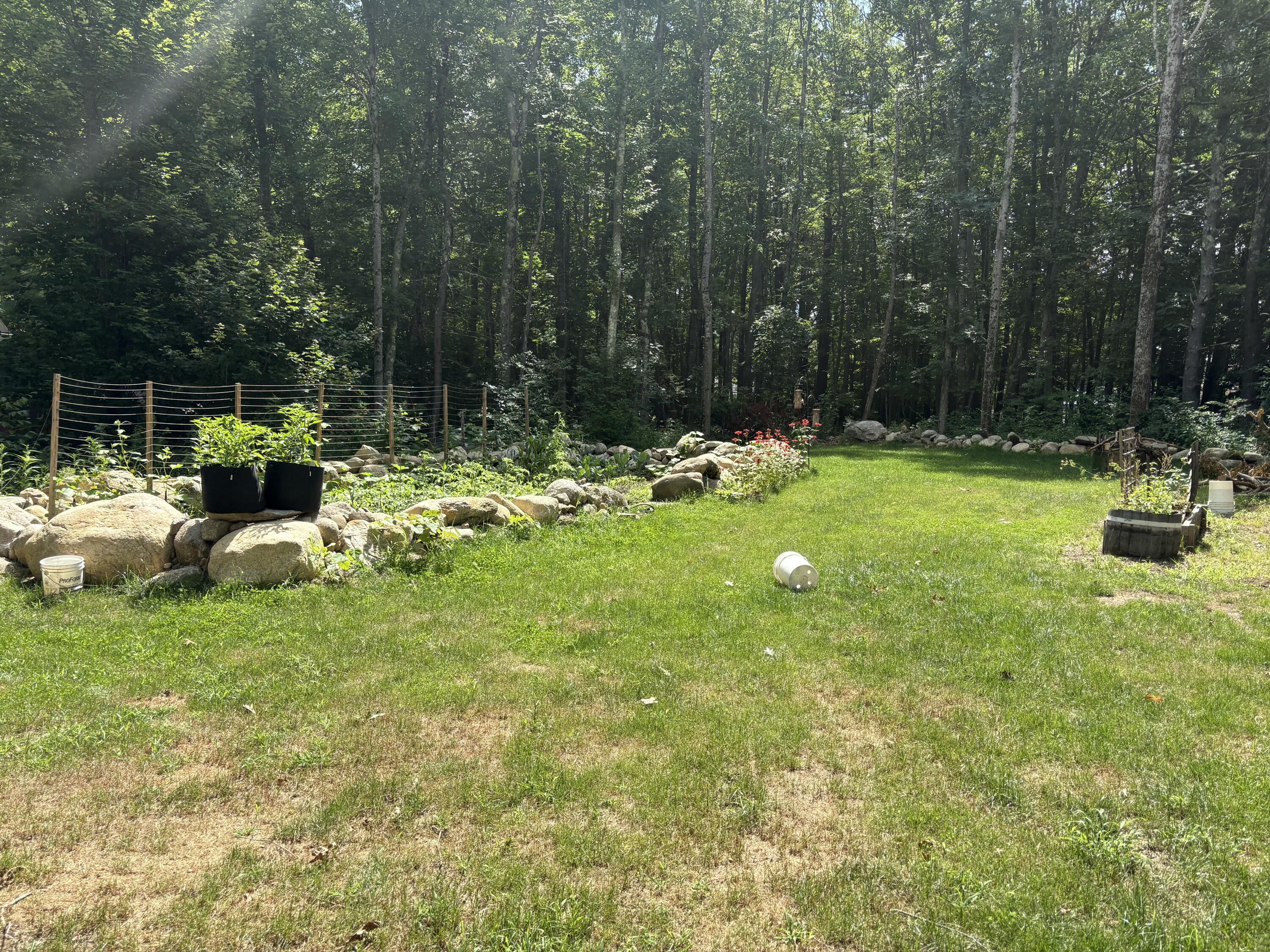 main property photo 54