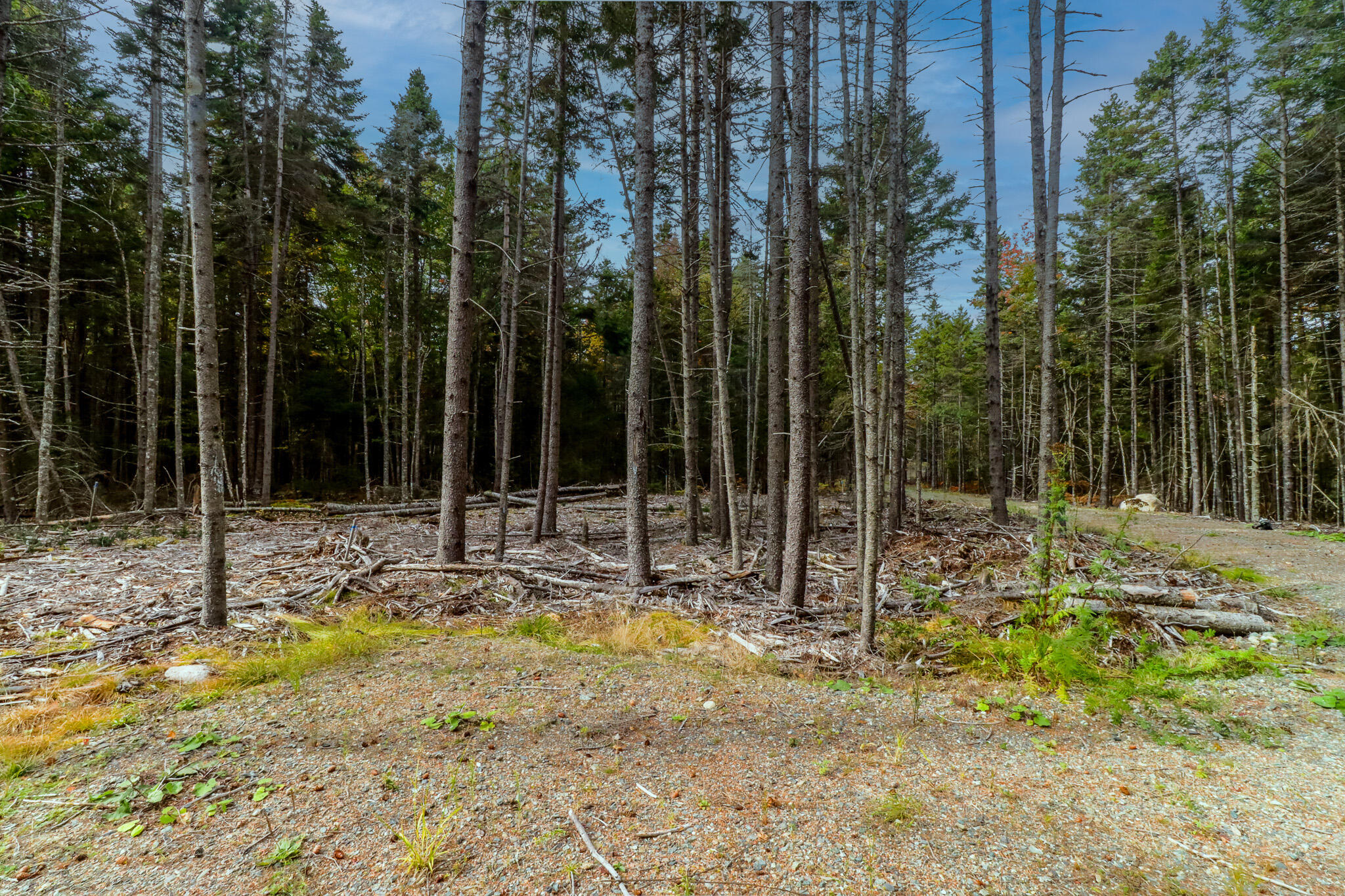 main property photo 17