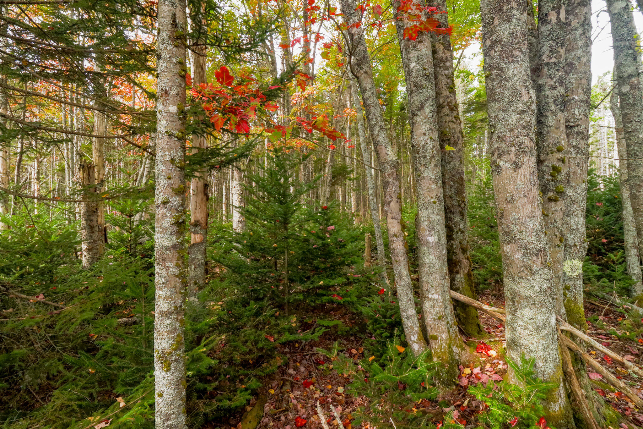 main property photo 23