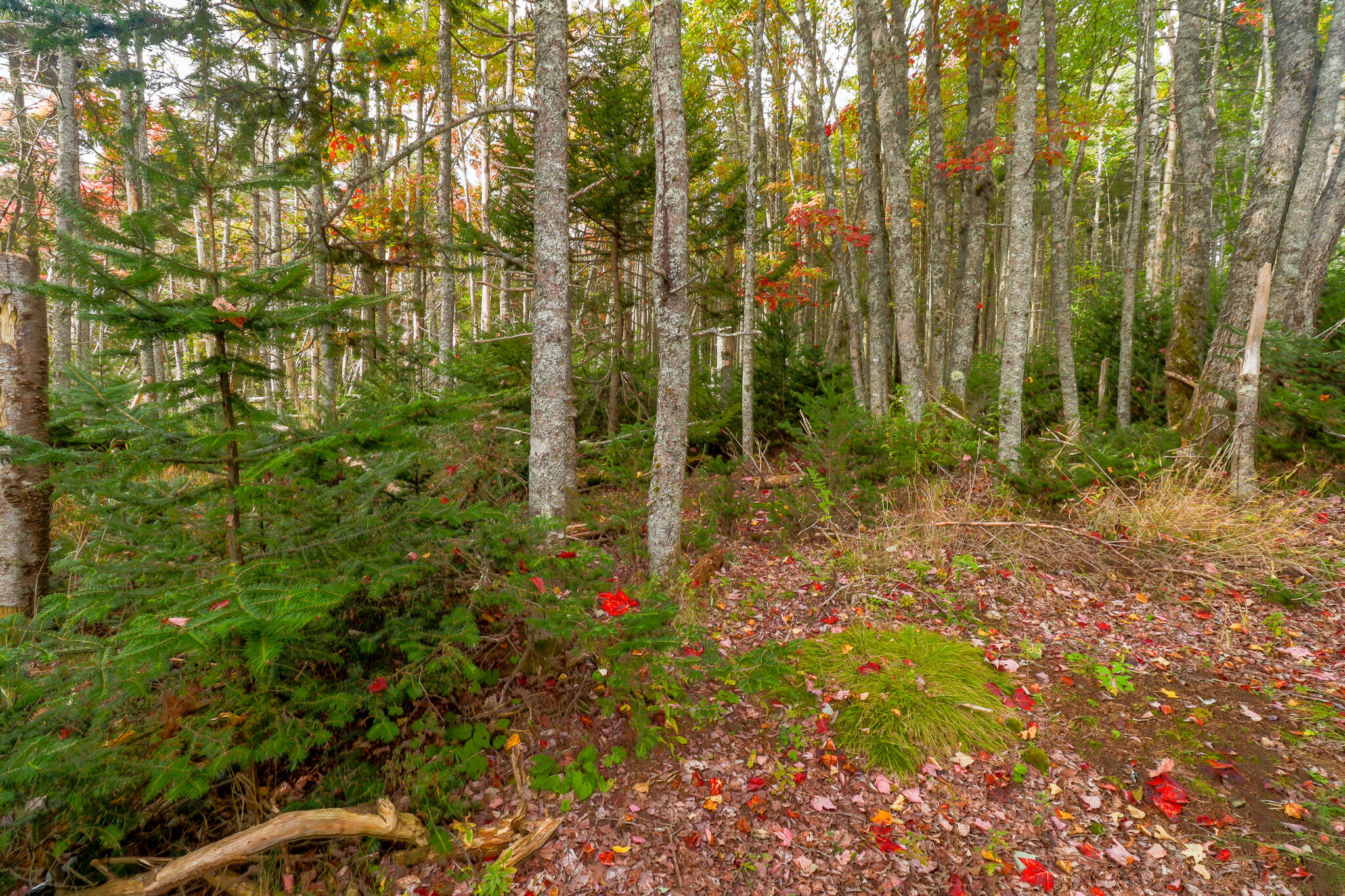 main property photo 24