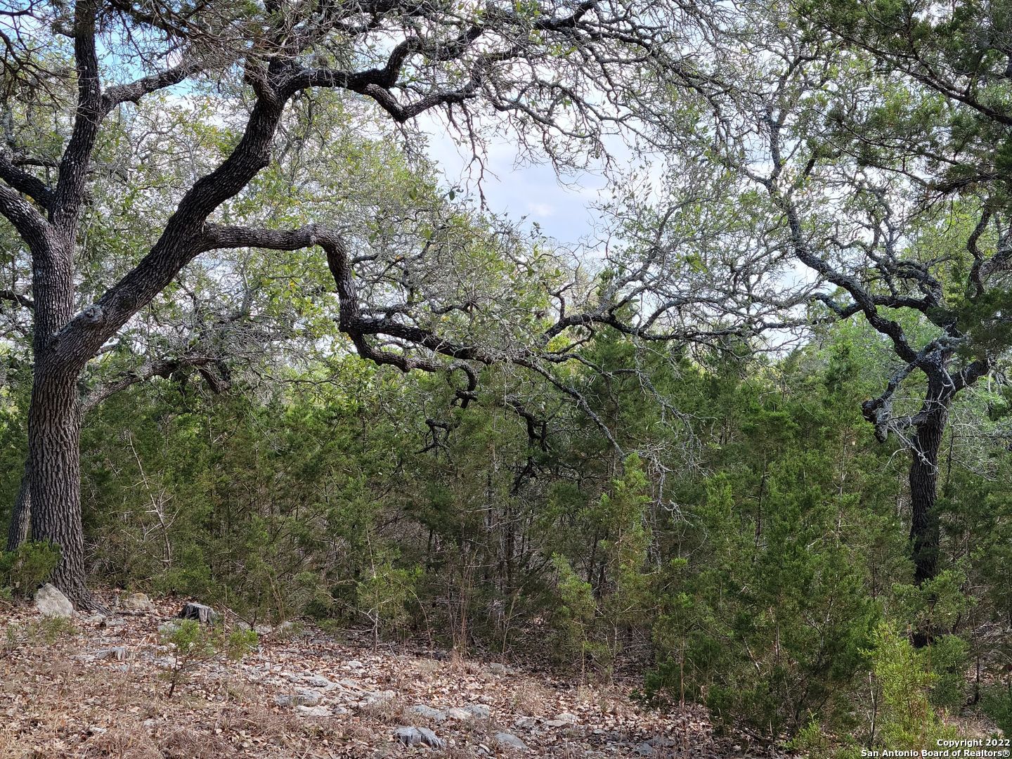 main property photo 17
