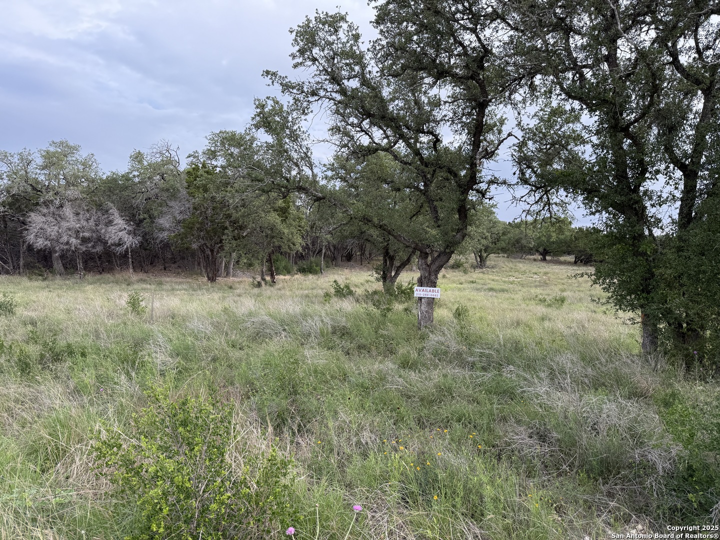 main property photo 29