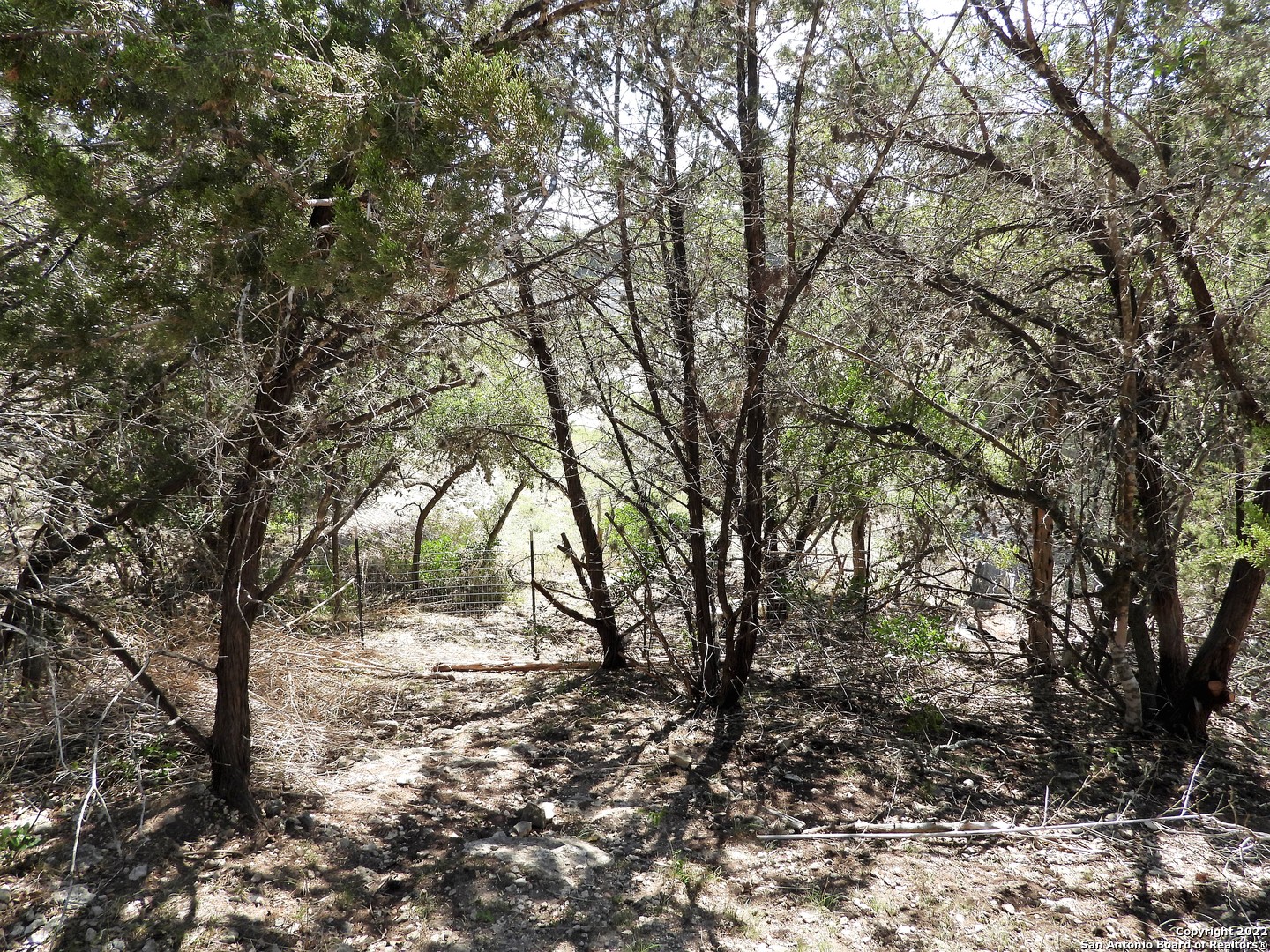 main property photo 53