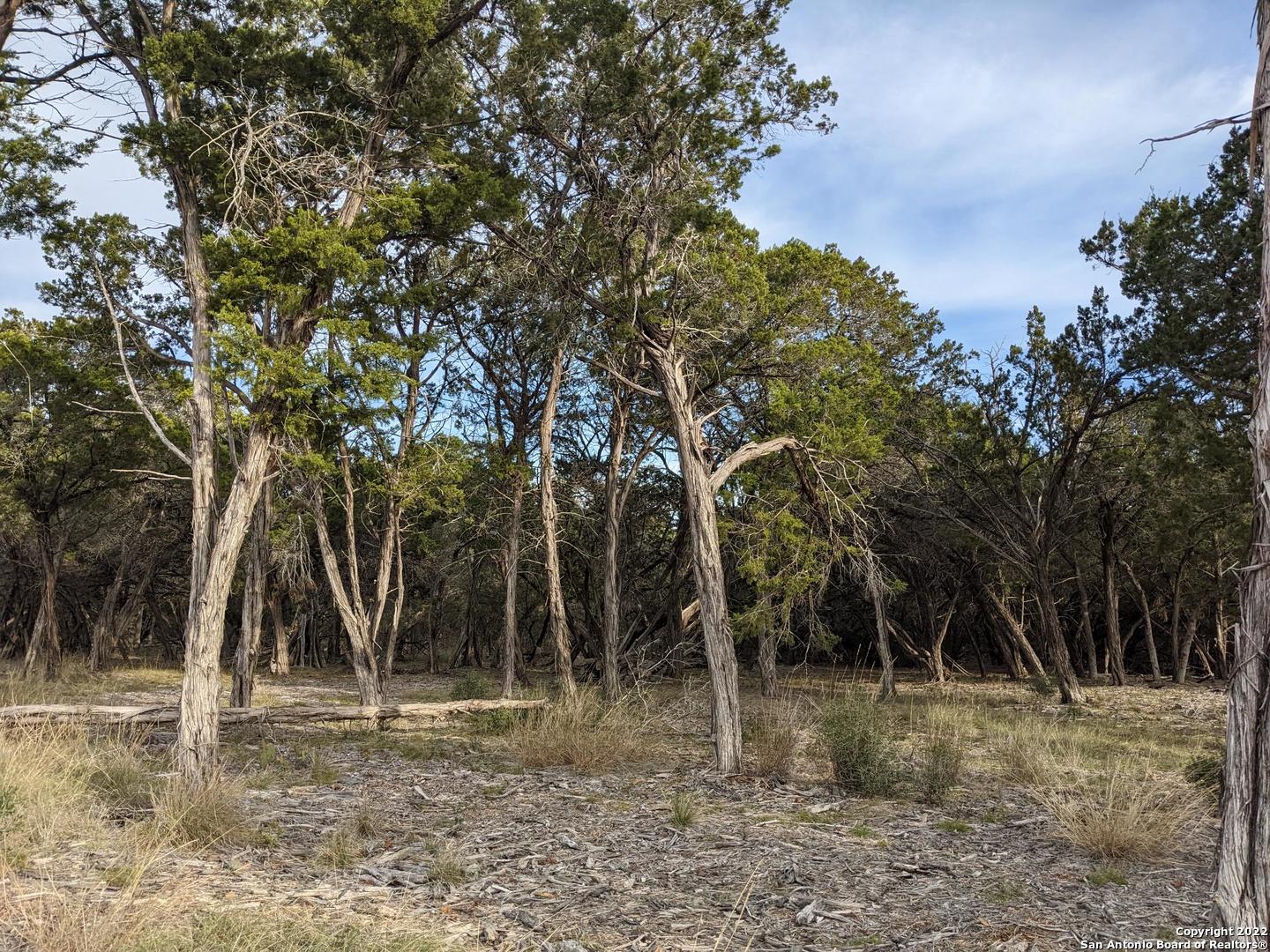 main property photo 17