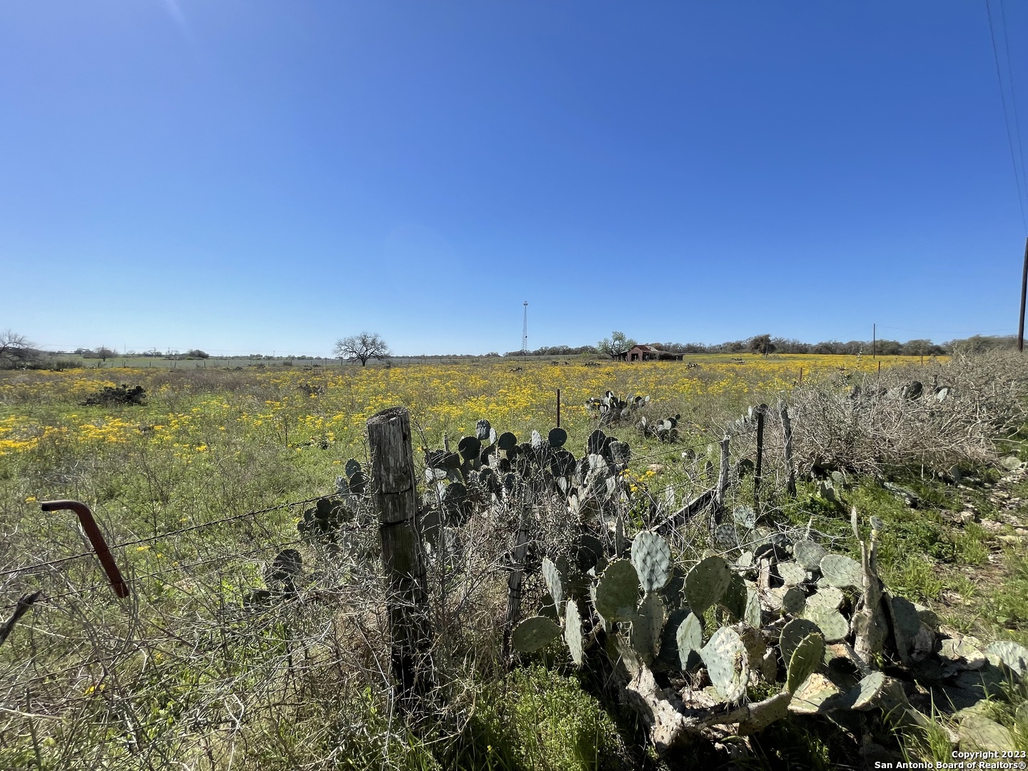 main property photo 40