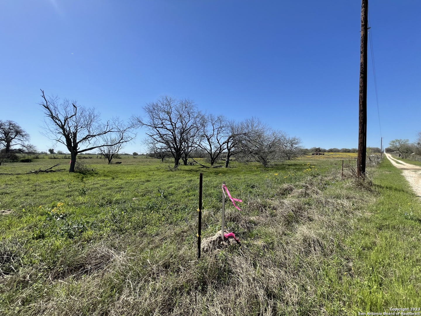 main property photo 43