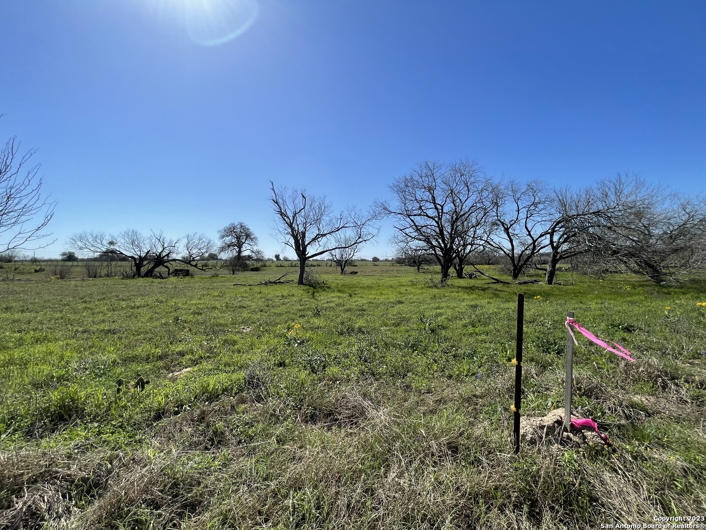 main property photo 44