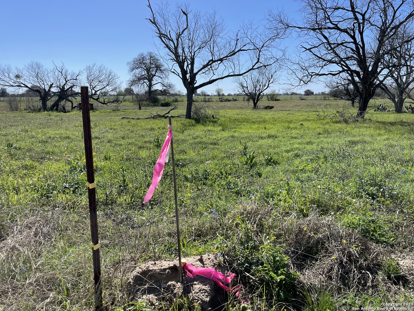 main property photo 46
