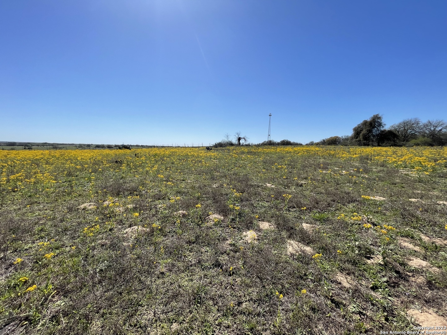 main property photo 50