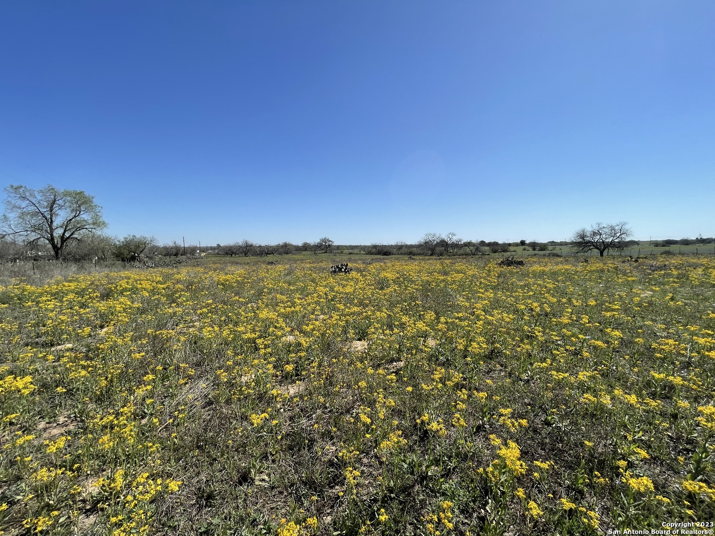 main property photo 58