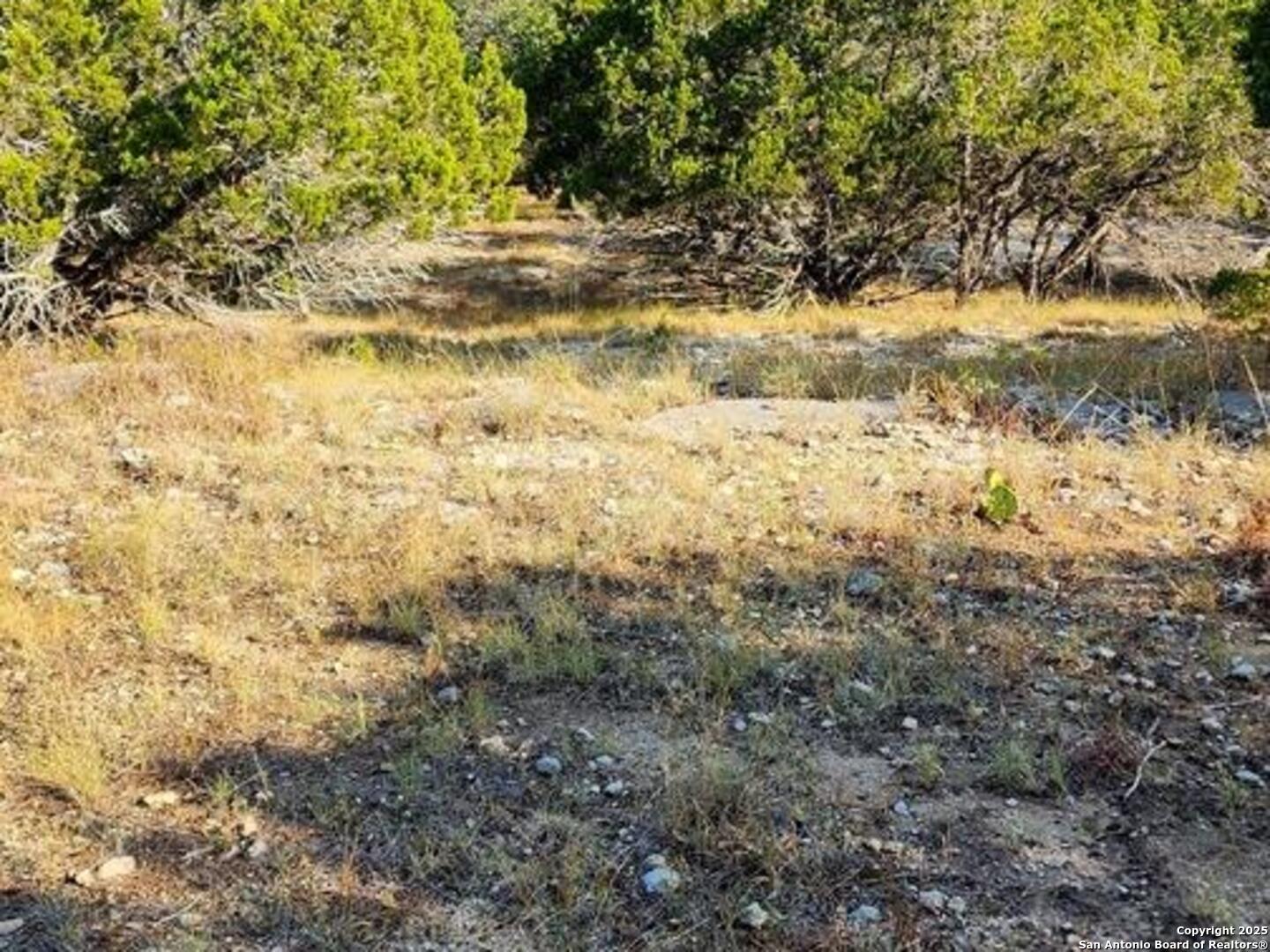 property viewer photo 4